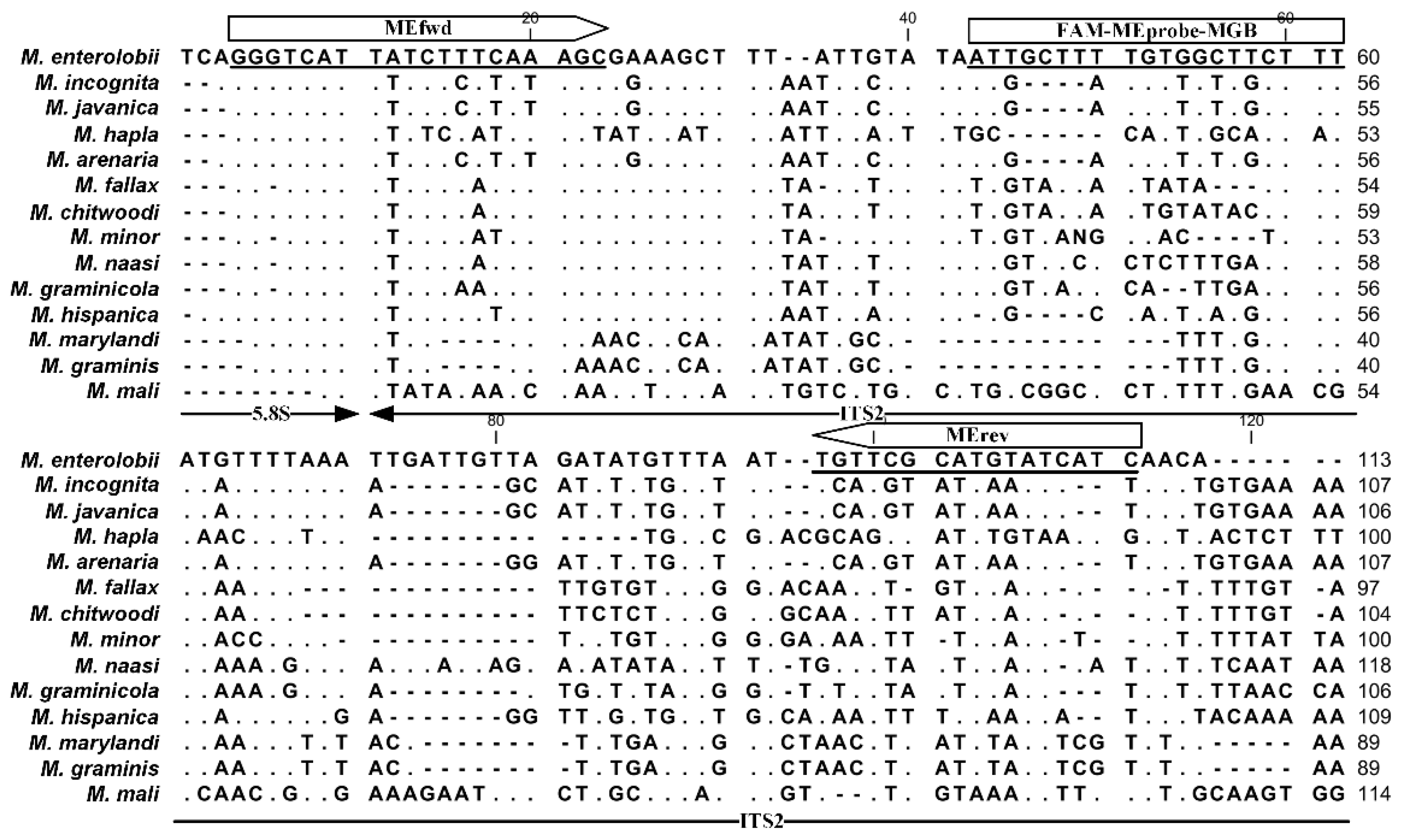 Ijms 23 11185 g001 Ijms 23 11185 g001