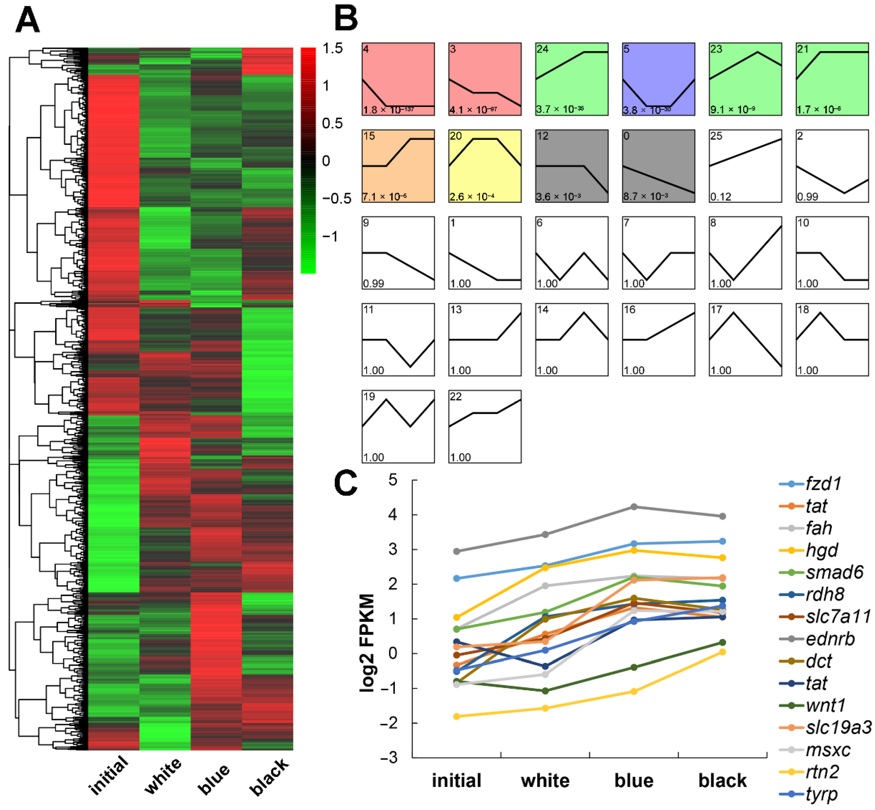 Ijms 23 11186 g005 Ijms 23 11186 g005