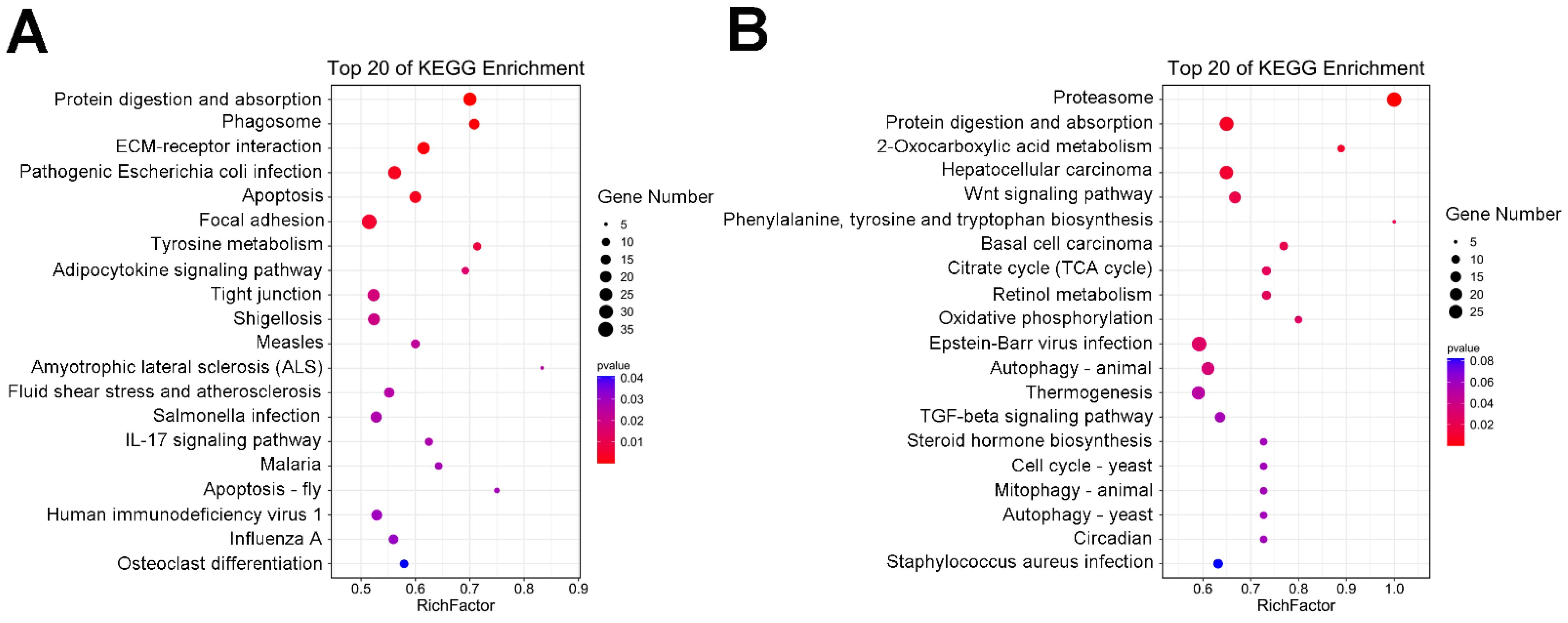 Ijms 23 11186 g006 Ijms 23 11186 g006