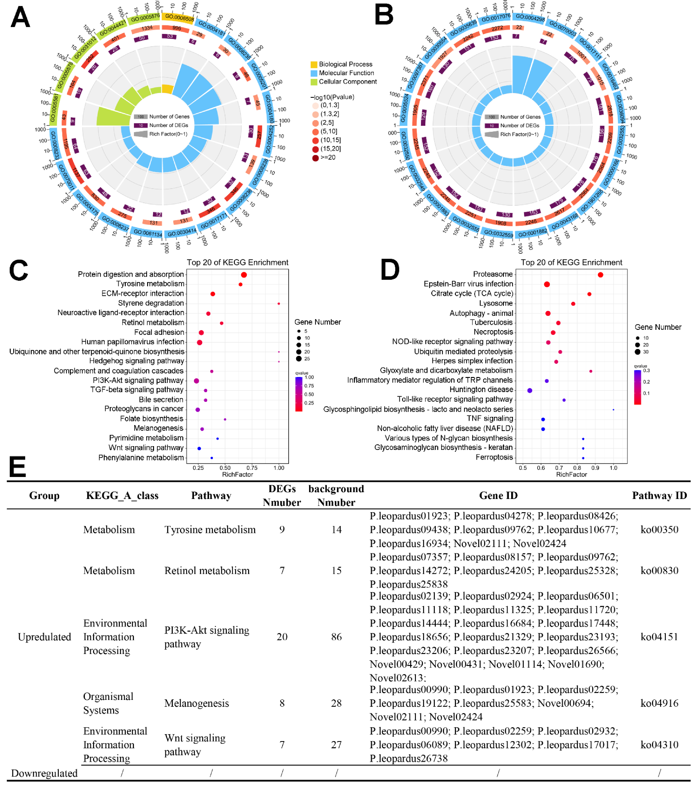 Ijms 23 11186 g007 Ijms 23 11186 g007