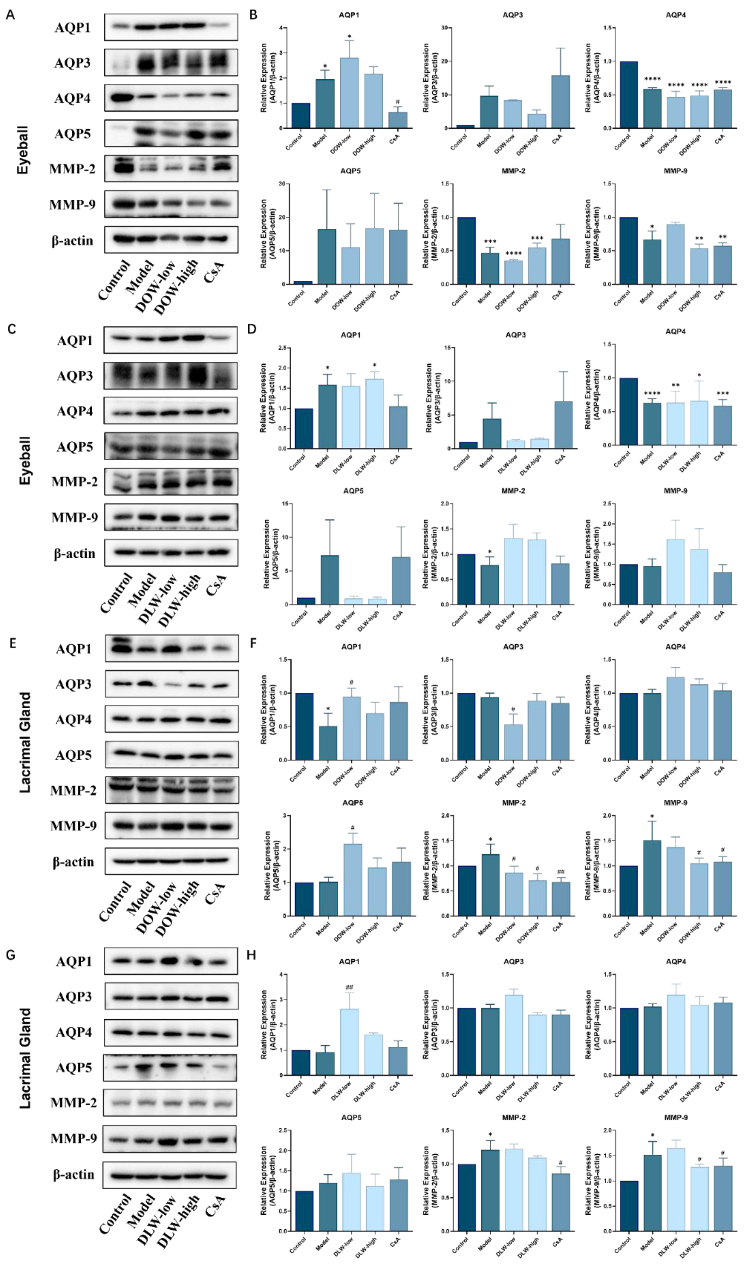 Ijms 23 11195 g006 550