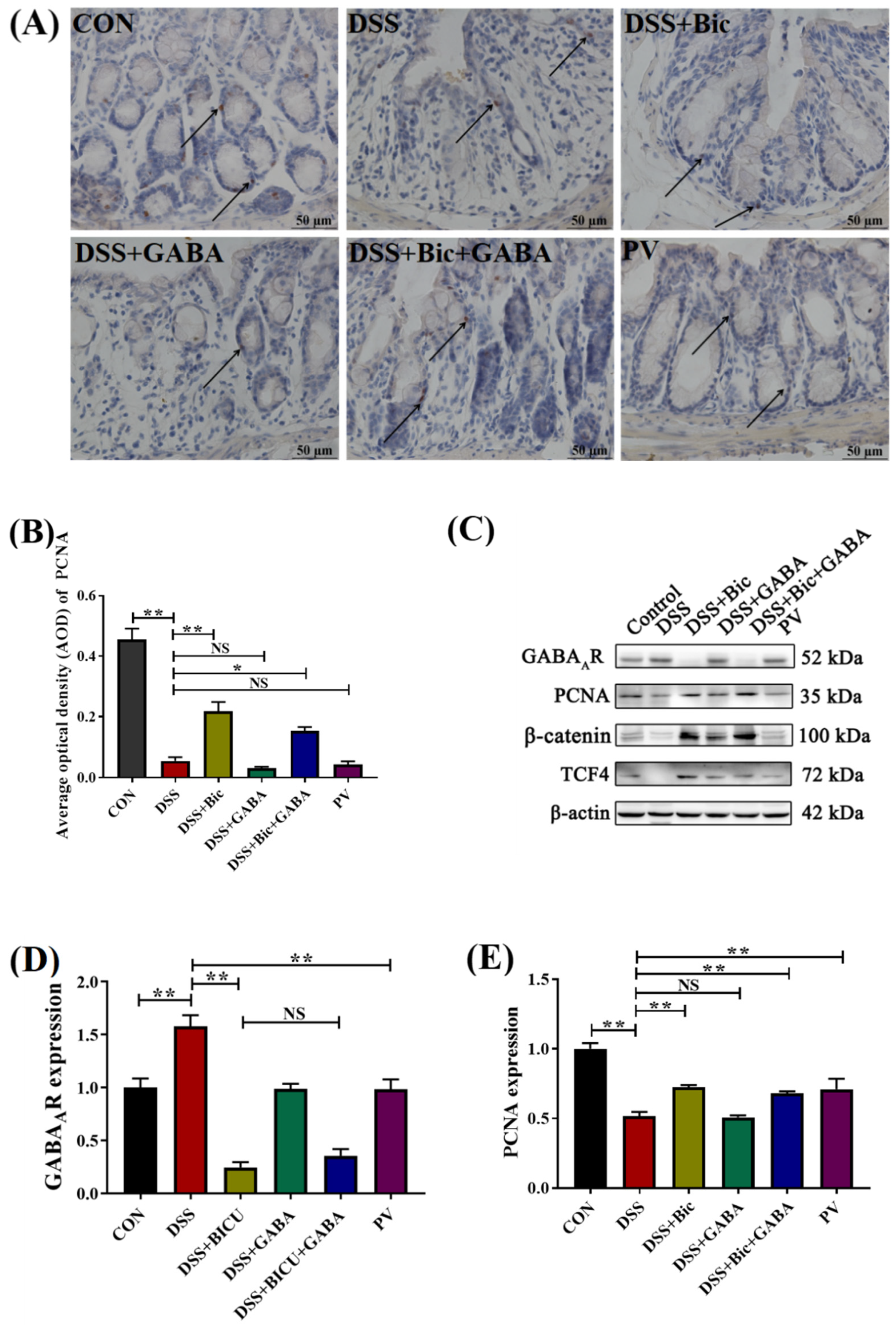 Ijms 23 11210 g004a Ijms 23 11210 g004a