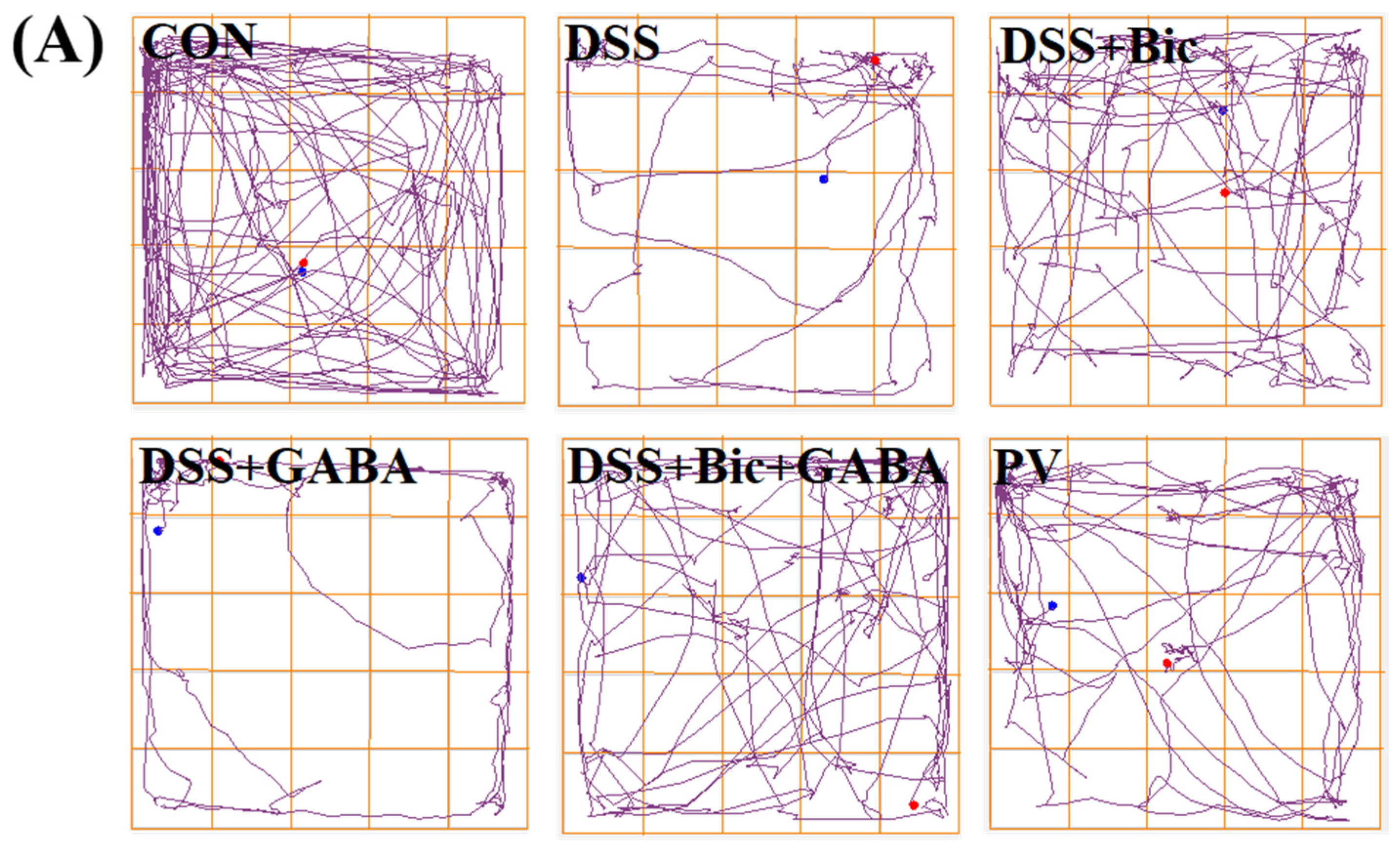 Ijms 23 11210 g005a Ijms 23 11210 g005a