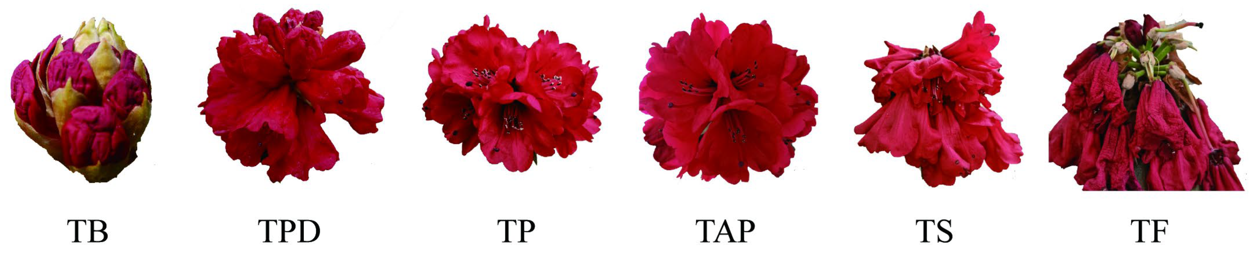 Ijms 23 11214 g001 Ijms 23 11214 g001