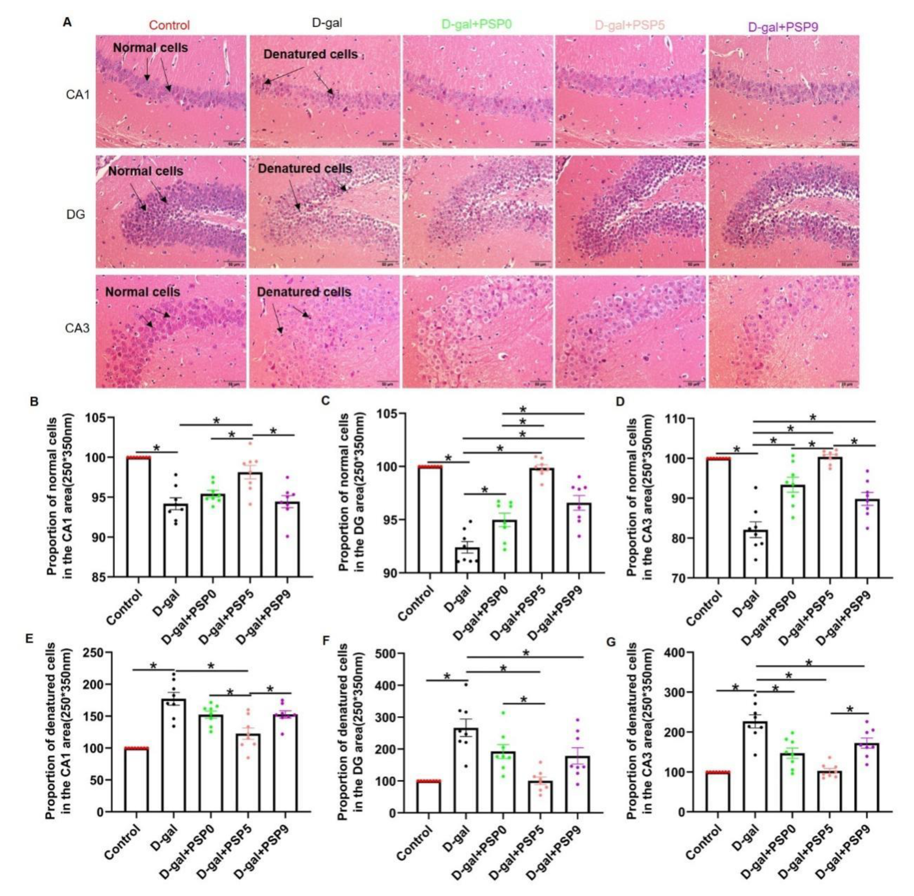 Ijms 23 11220 g004 550