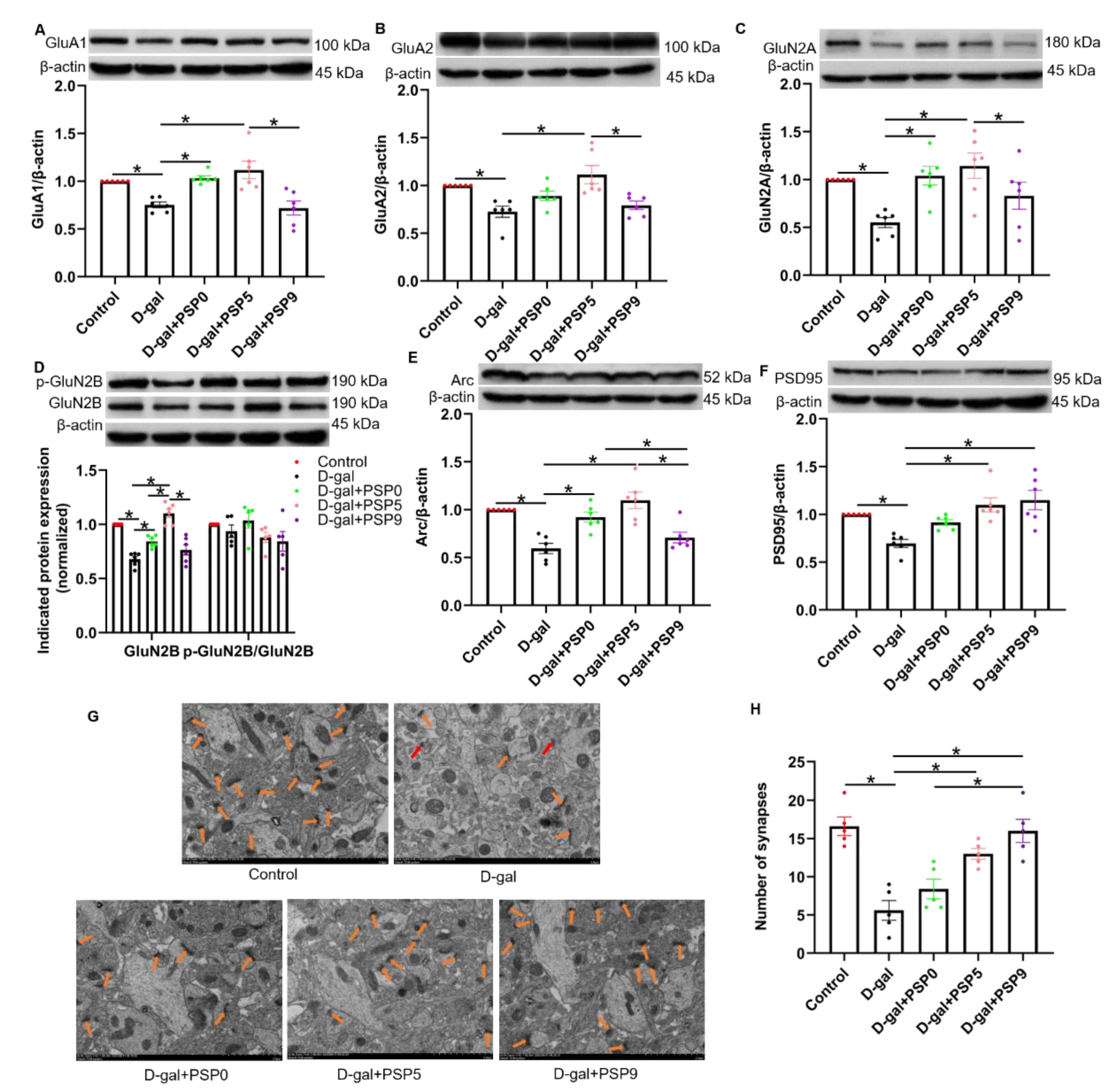 Ijms 23 11220 g007 550
