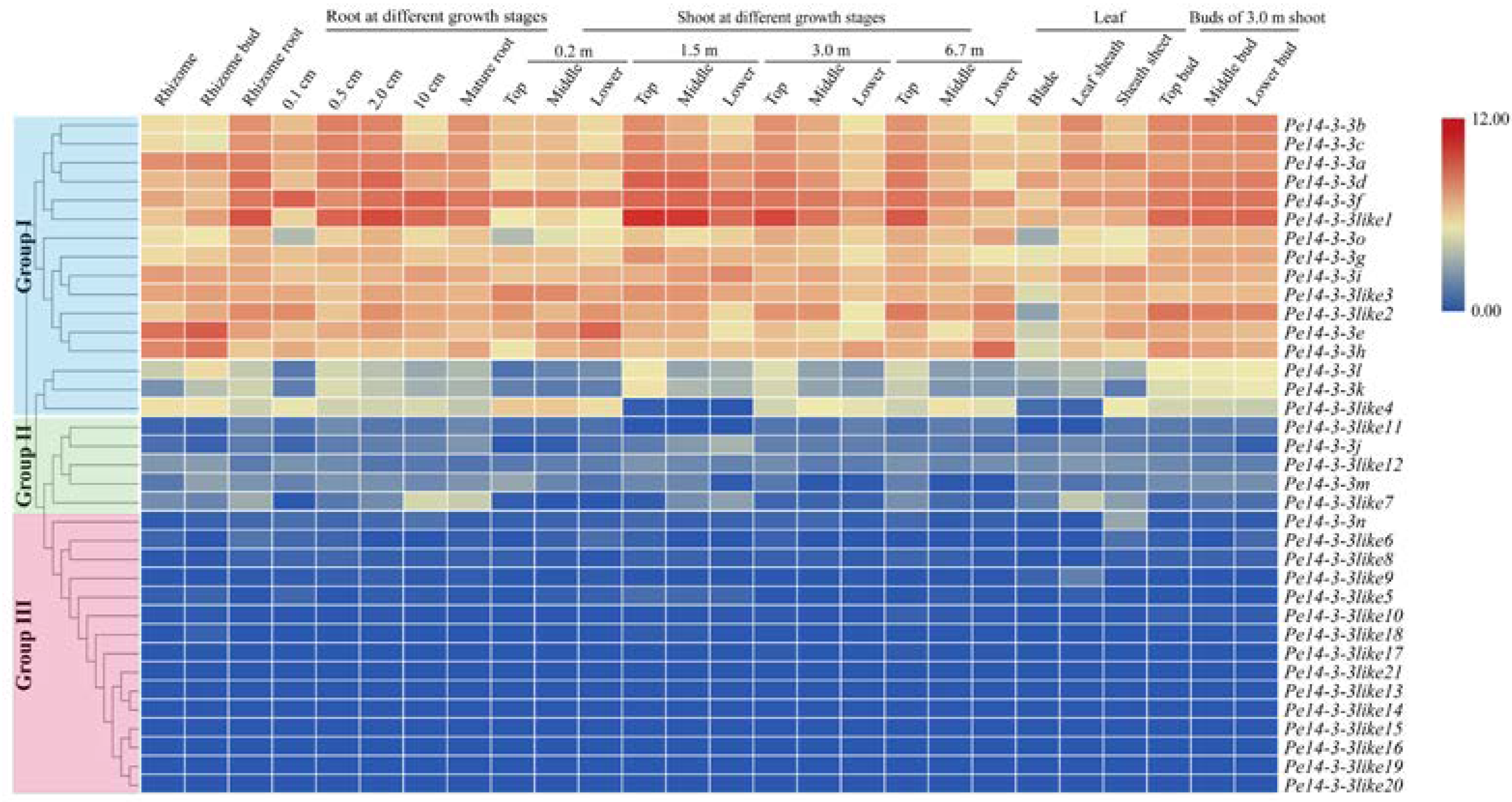 Ijms 23 11221 g003 Ijms 23 11221 g003