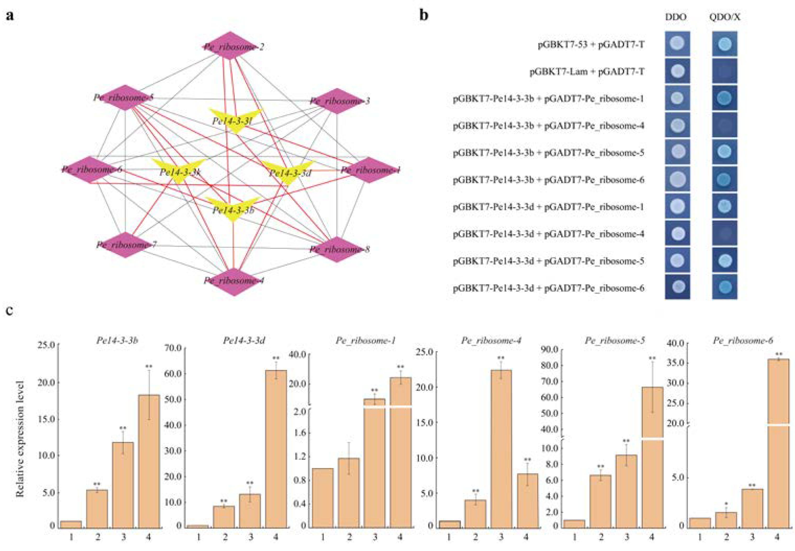 Ijms 23 11221 g005 Ijms 23 11221 g005