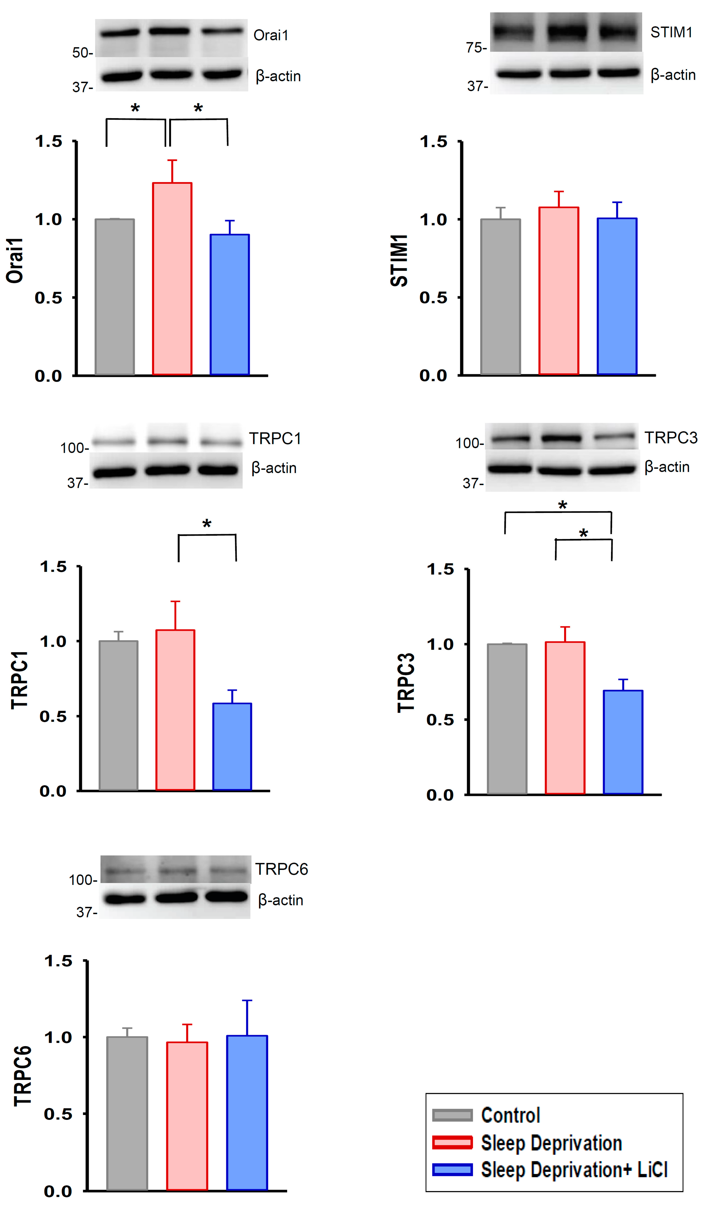 Ijms 23 11226 g005 Ijms 23 11226 g005