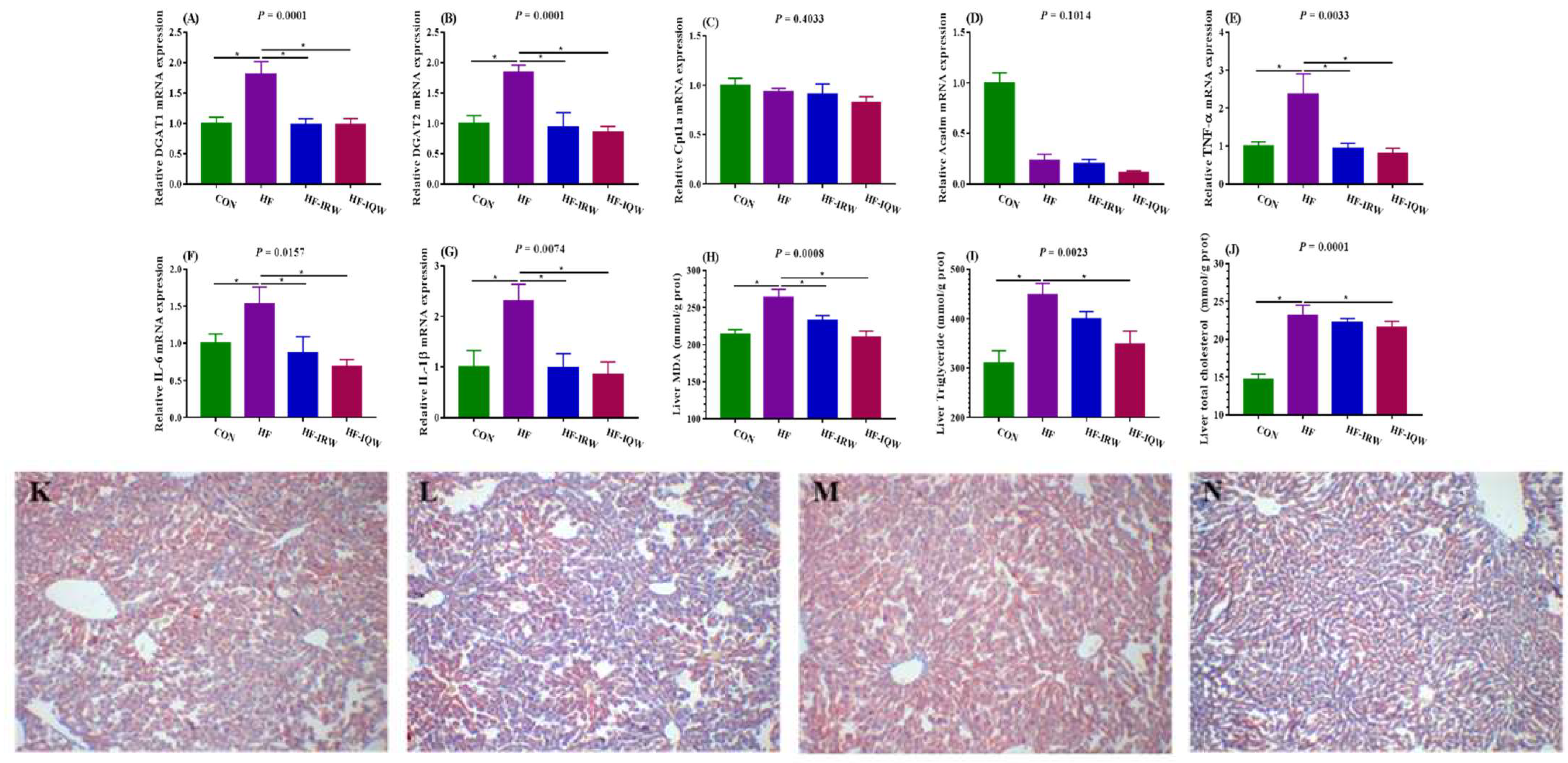 Ijms 23 11227 g003 Ijms 23 11227 g003