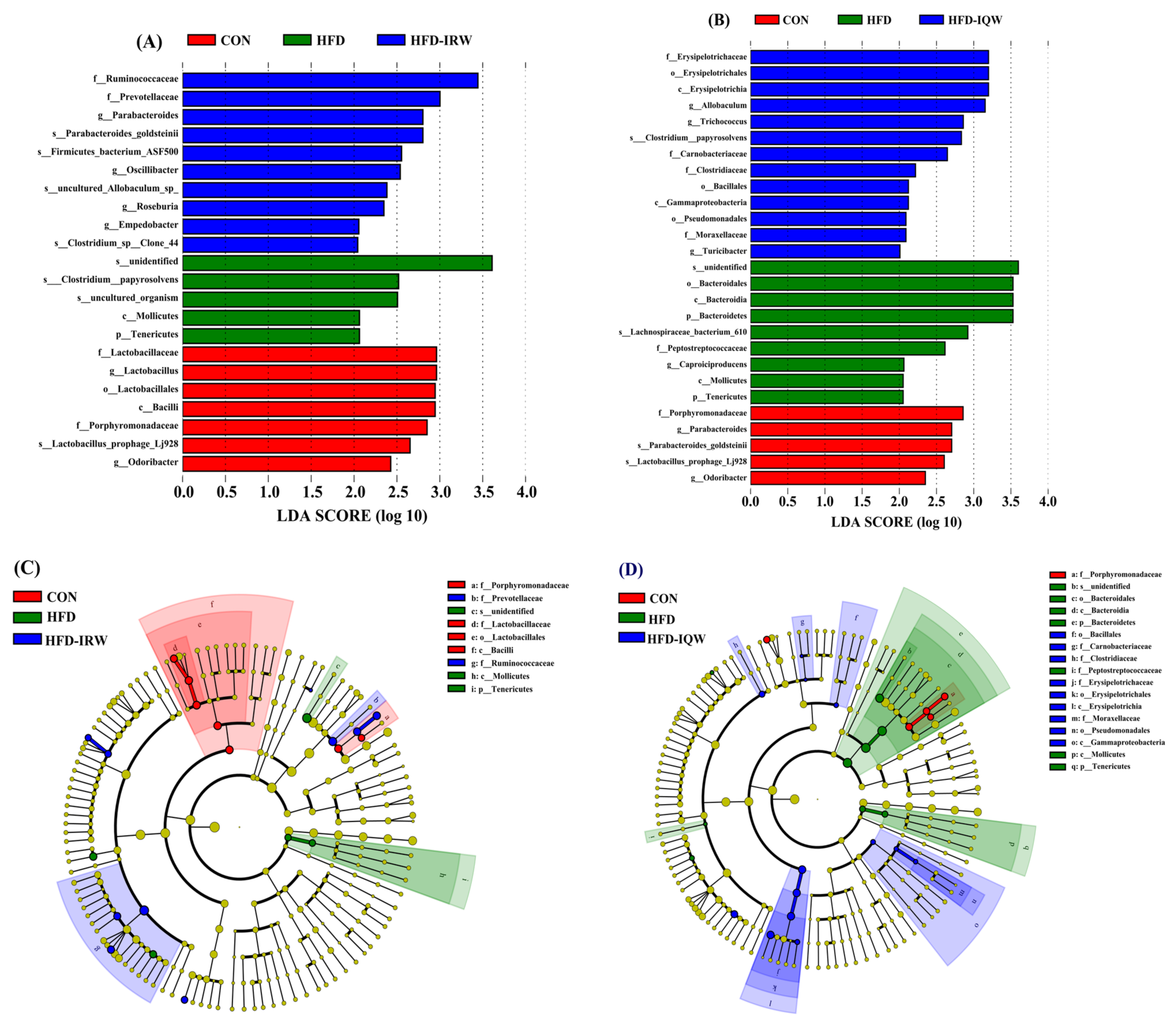 Ijms 23 11227 g006 Ijms 23 11227 g006