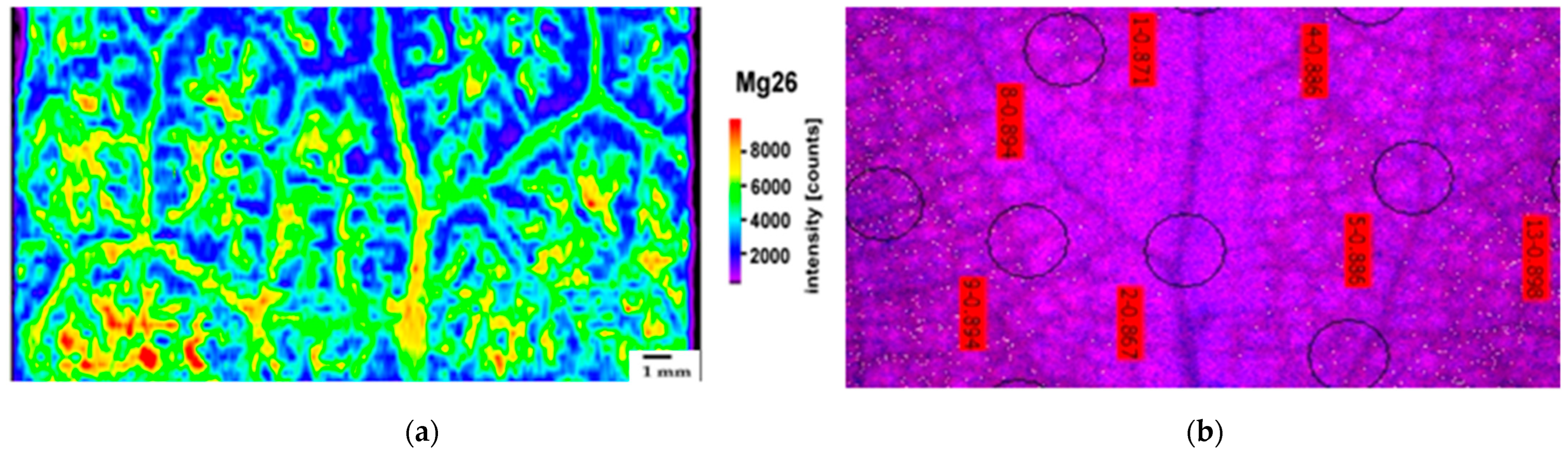 Ijms 23 11232 g002 Ijms 23 11232 g002