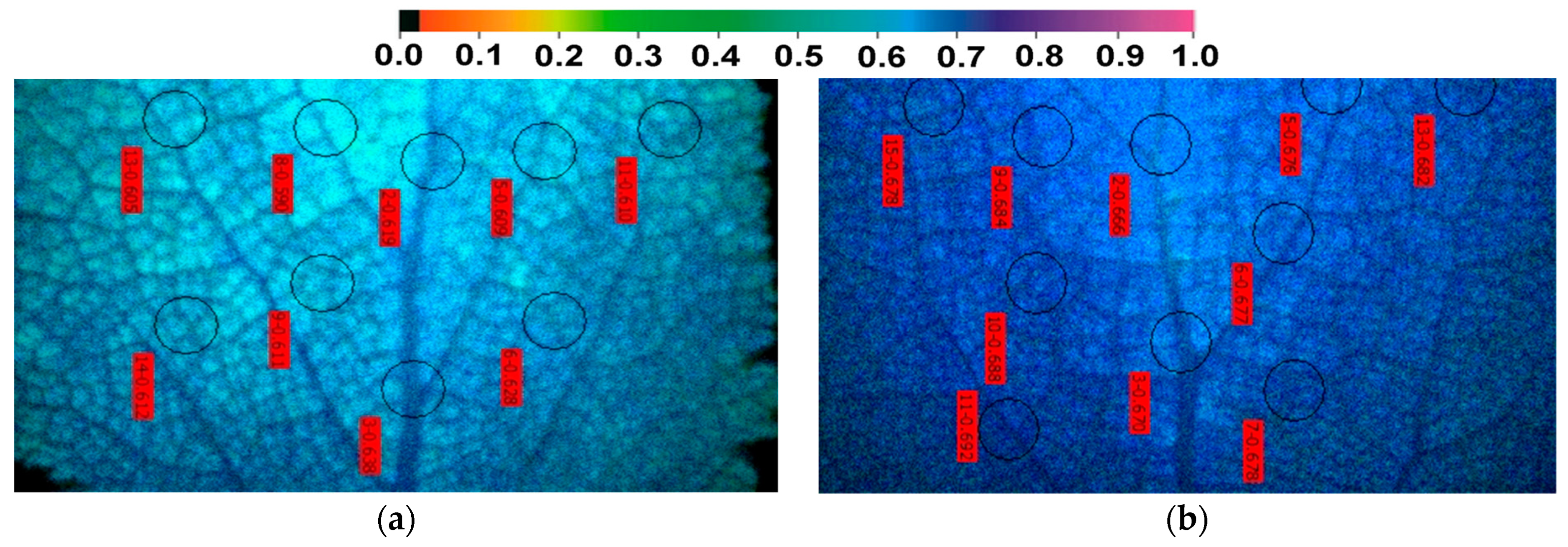 Ijms 23 11232 g007 Ijms 23 11232 g007