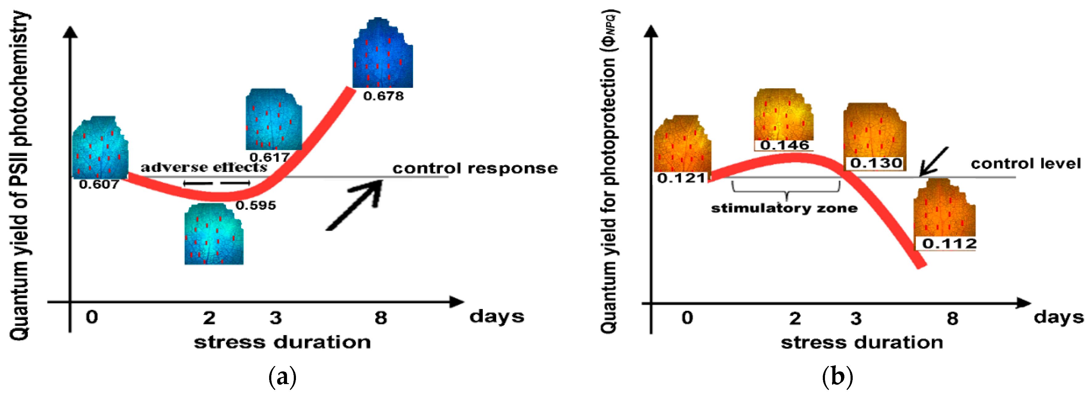 Ijms 23 11232 g008 Ijms 23 11232 g008