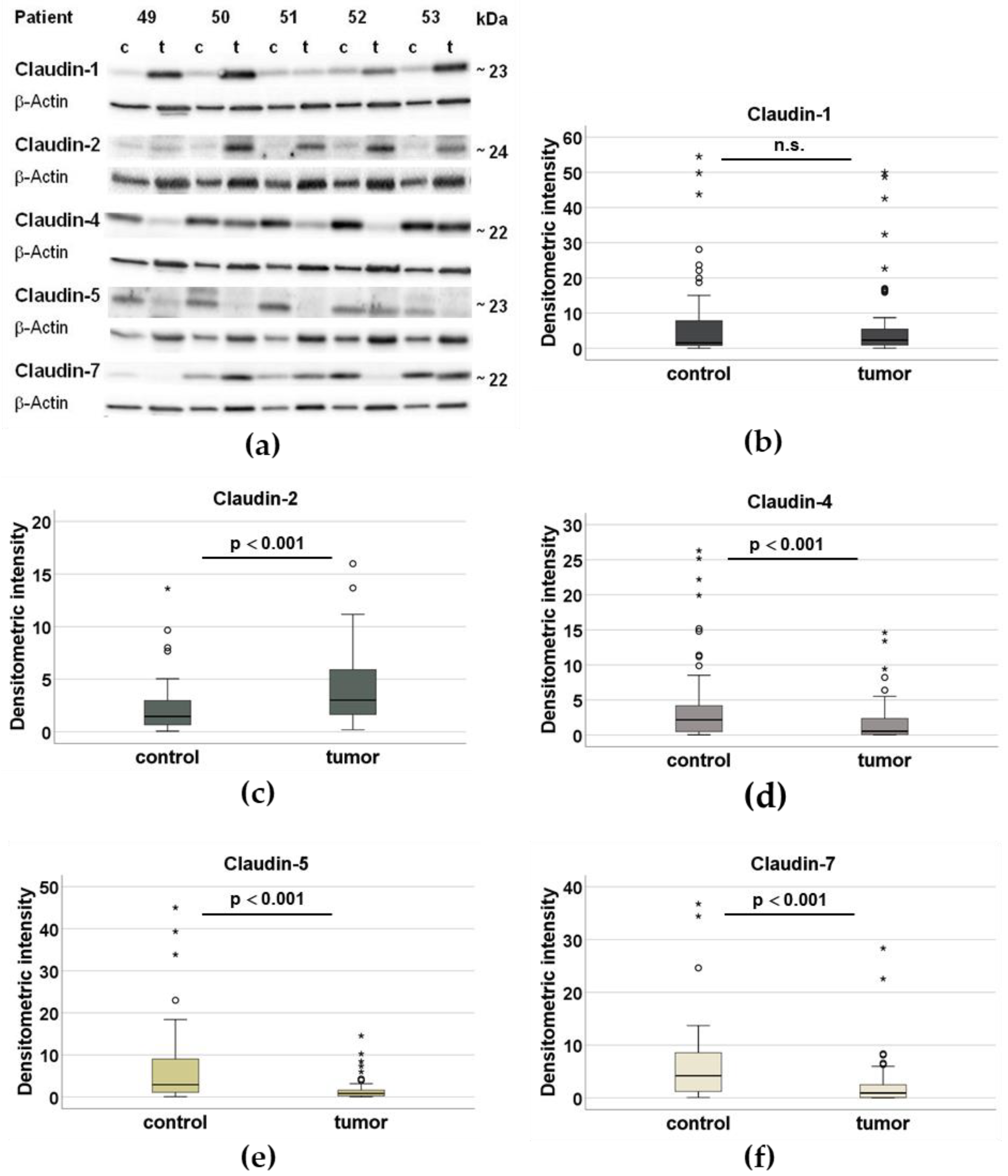 Ijms 23 11234 g001 Ijms 23 11234 g001