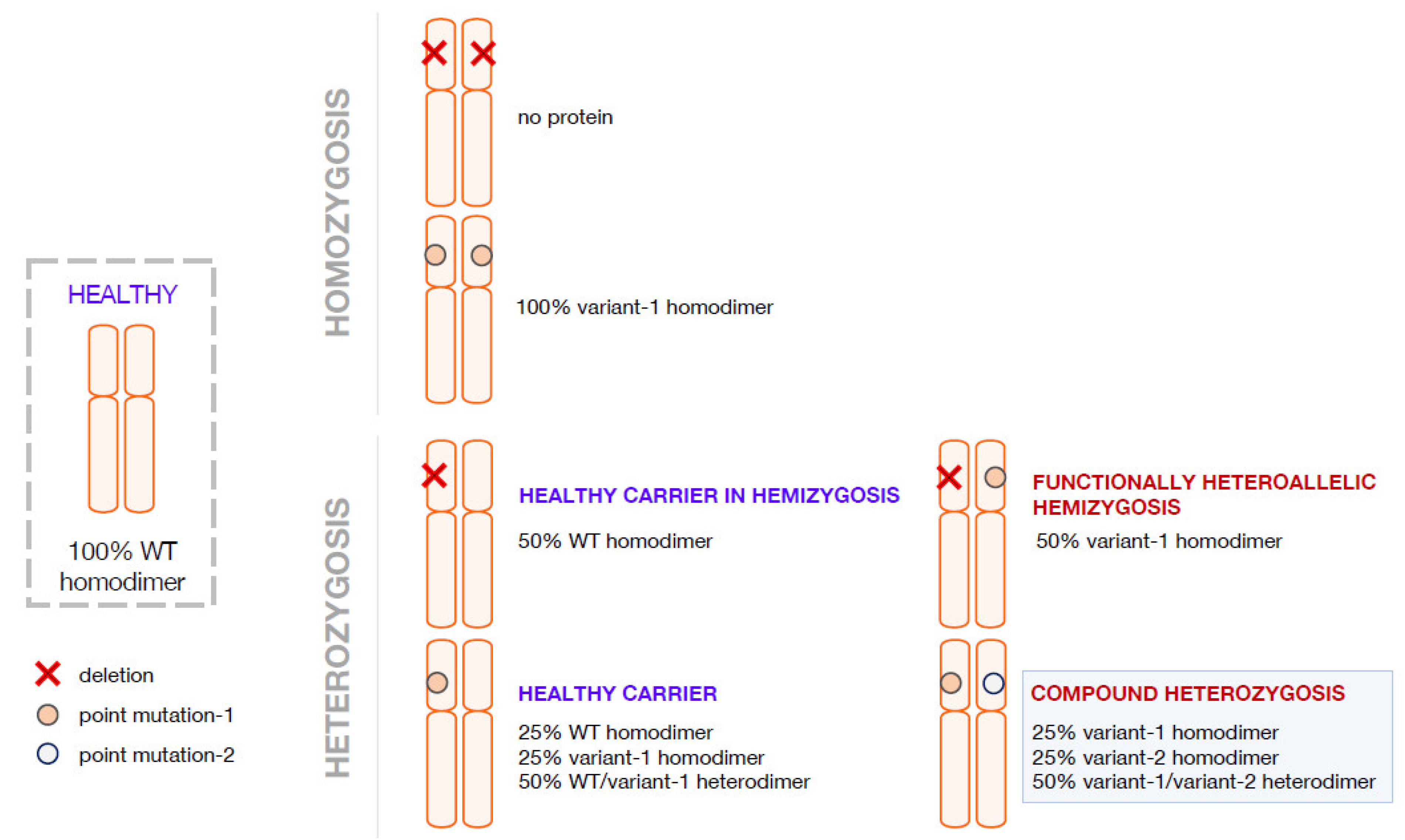 Ijms 23 11238 g002 Ijms 23 11238 g002