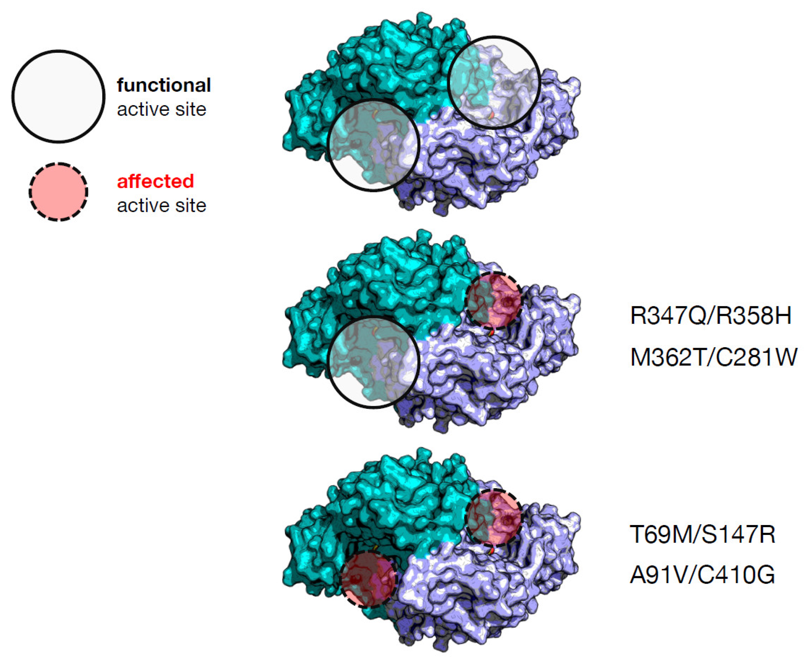 Ijms 23 11238 g003 Ijms 23 11238 g003