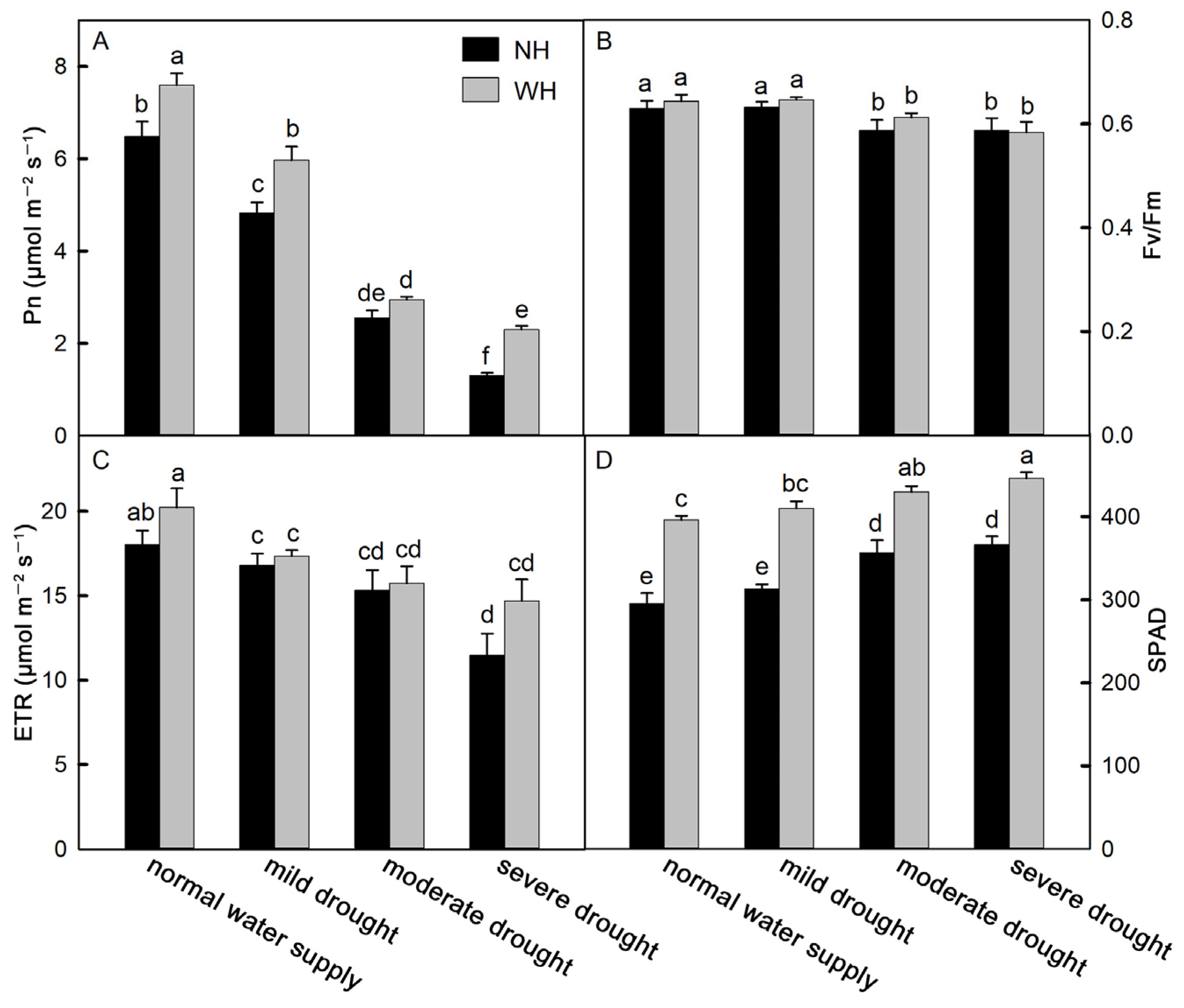 Ijms 23 11241 g002 Ijms 23 11241 g002