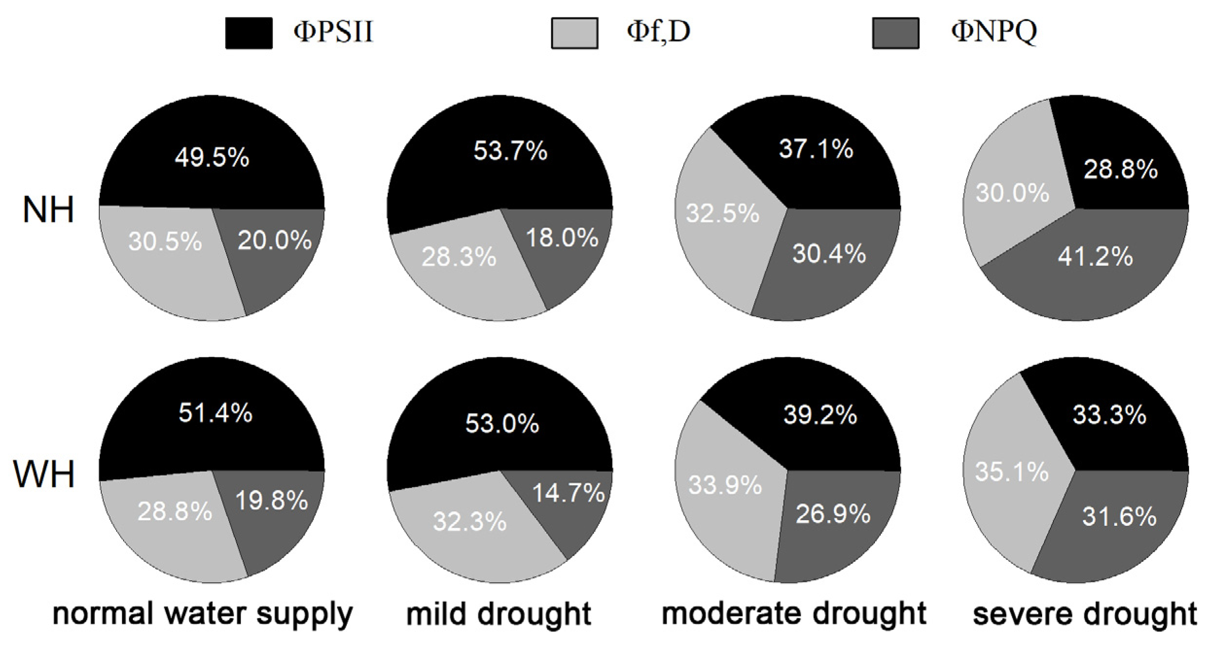 Ijms 23 11241 g003 Ijms 23 11241 g003