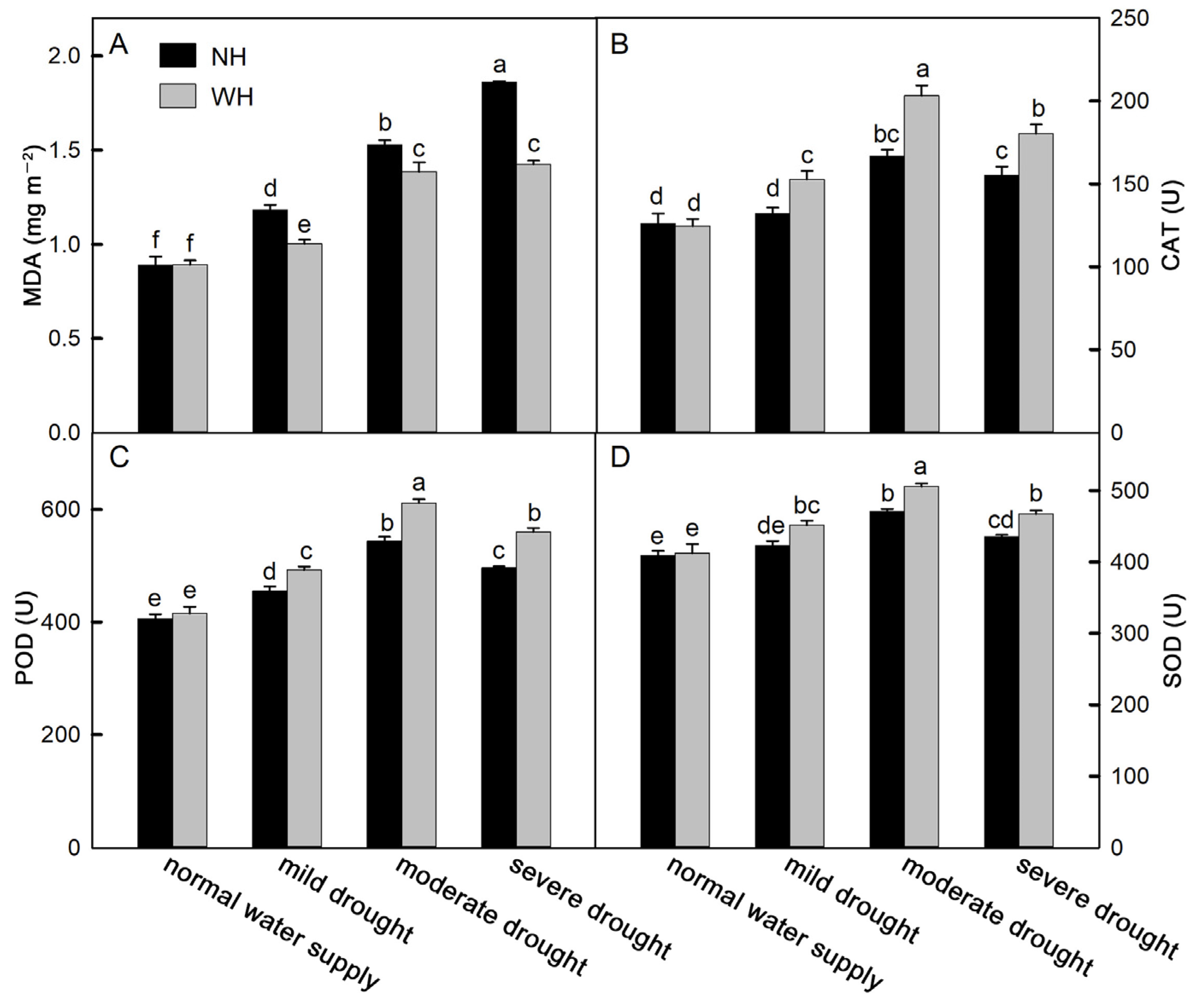 Ijms 23 11241 g004 Ijms 23 11241 g004