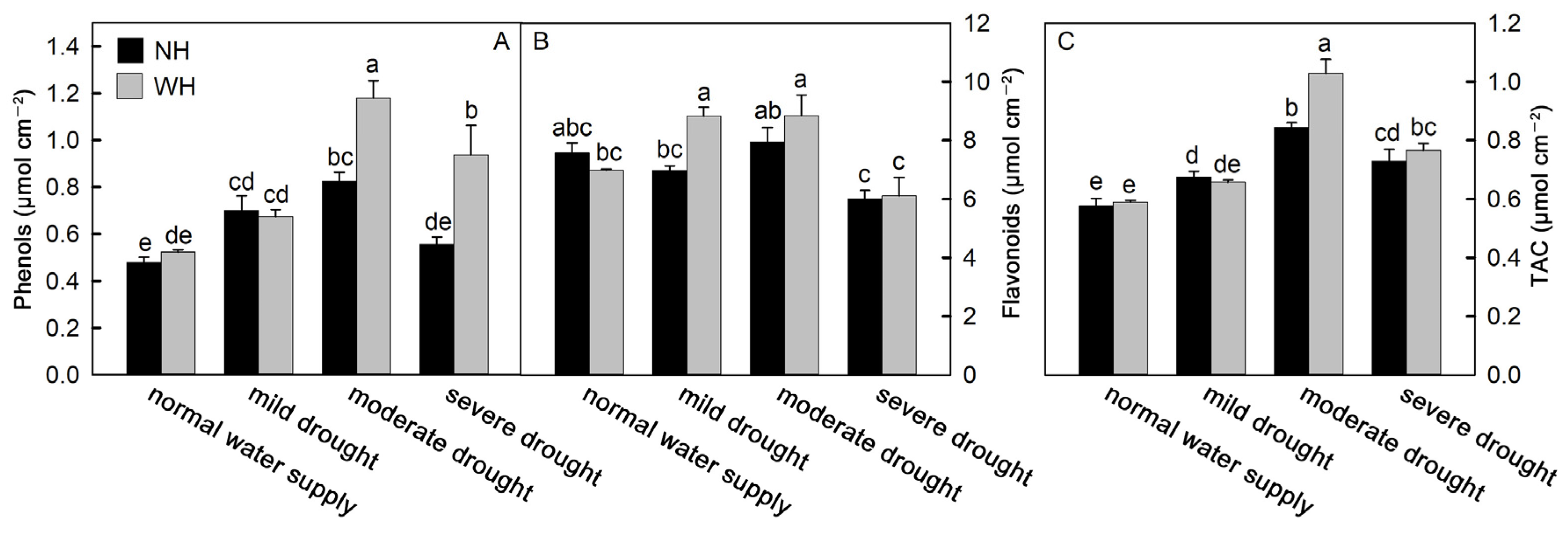 Ijms 23 11241 g005 Ijms 23 11241 g005