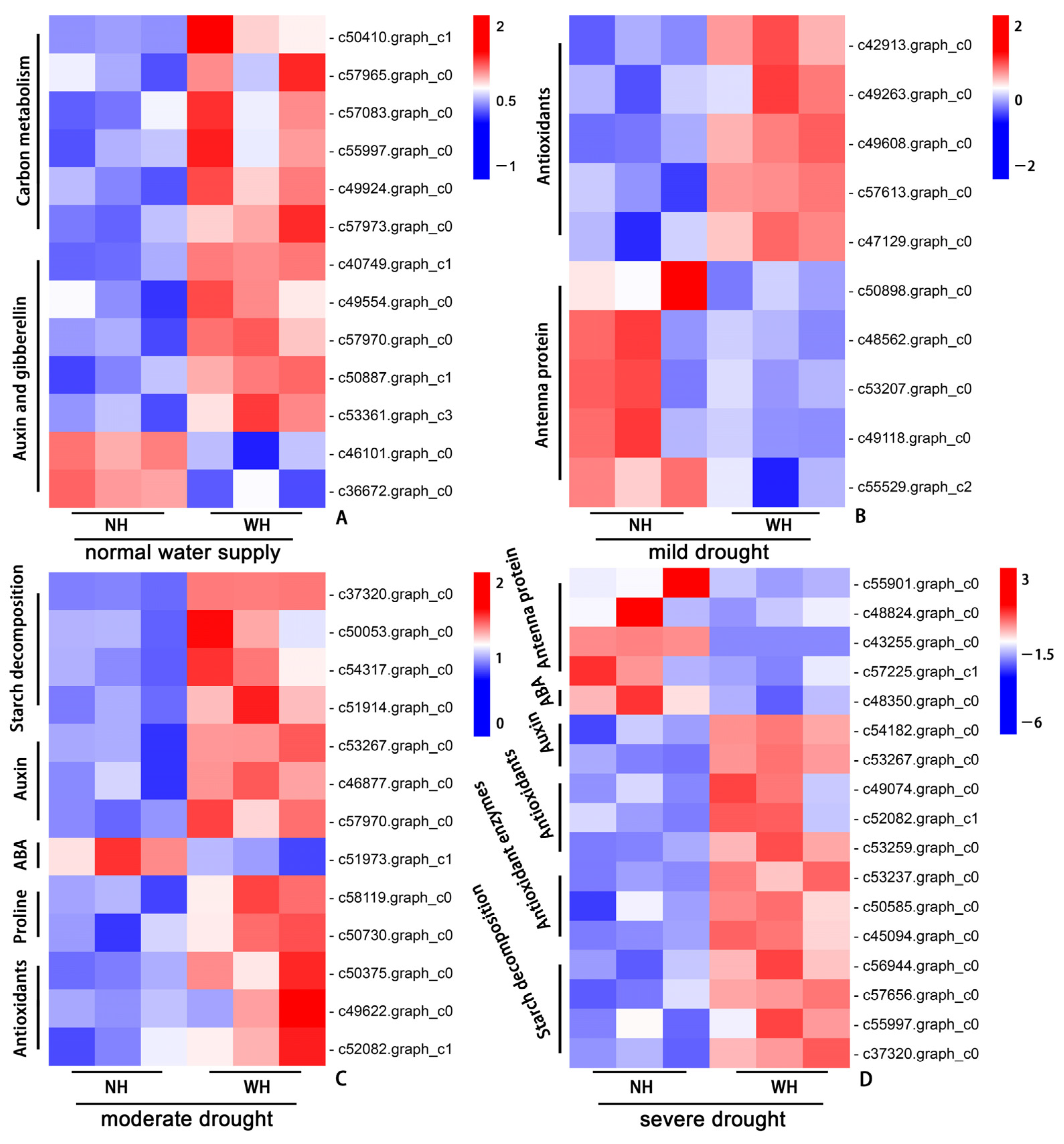 Ijms 23 11241 g007 Ijms 23 11241 g007