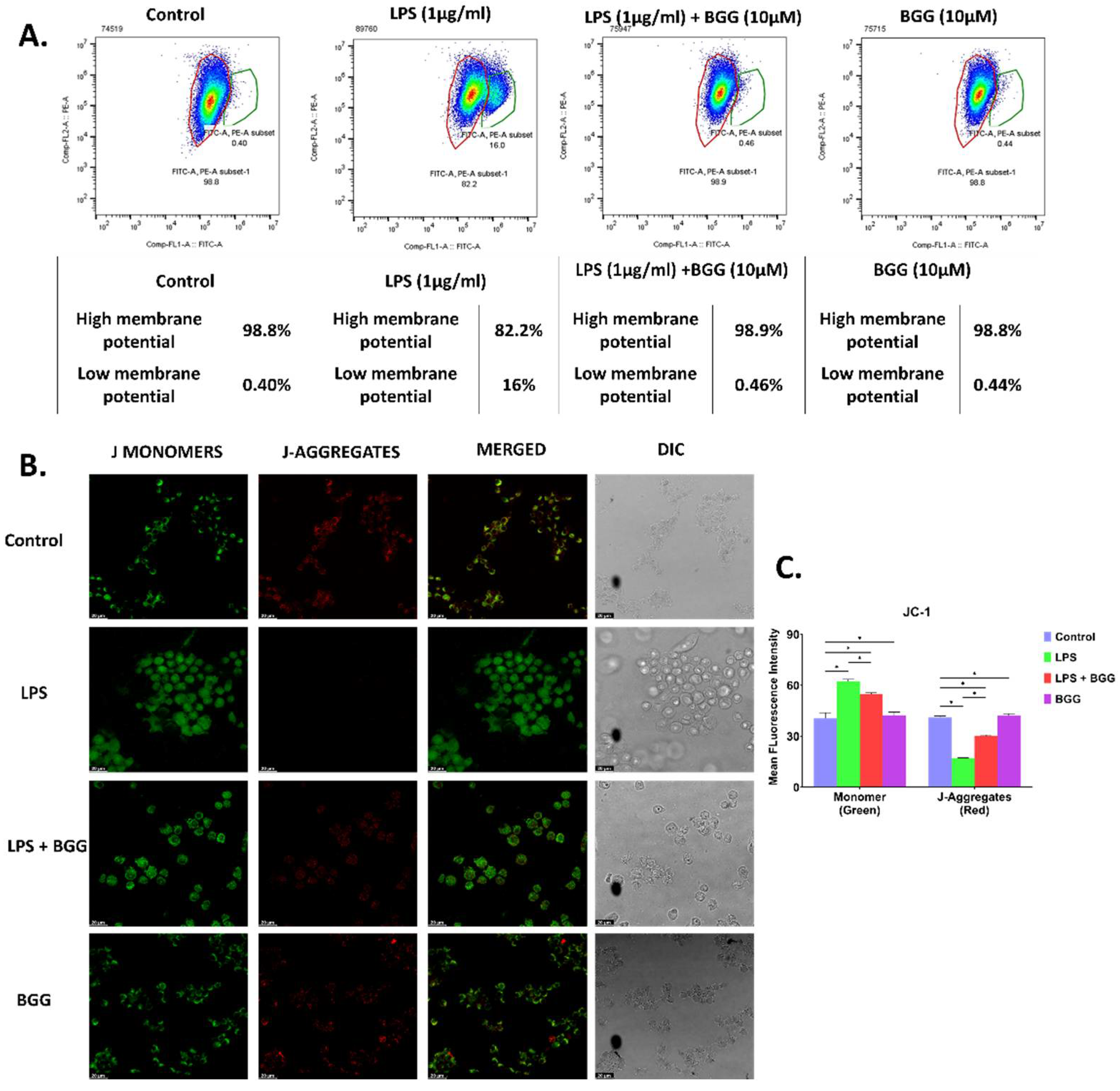 Ijms 23 11254 g003 550