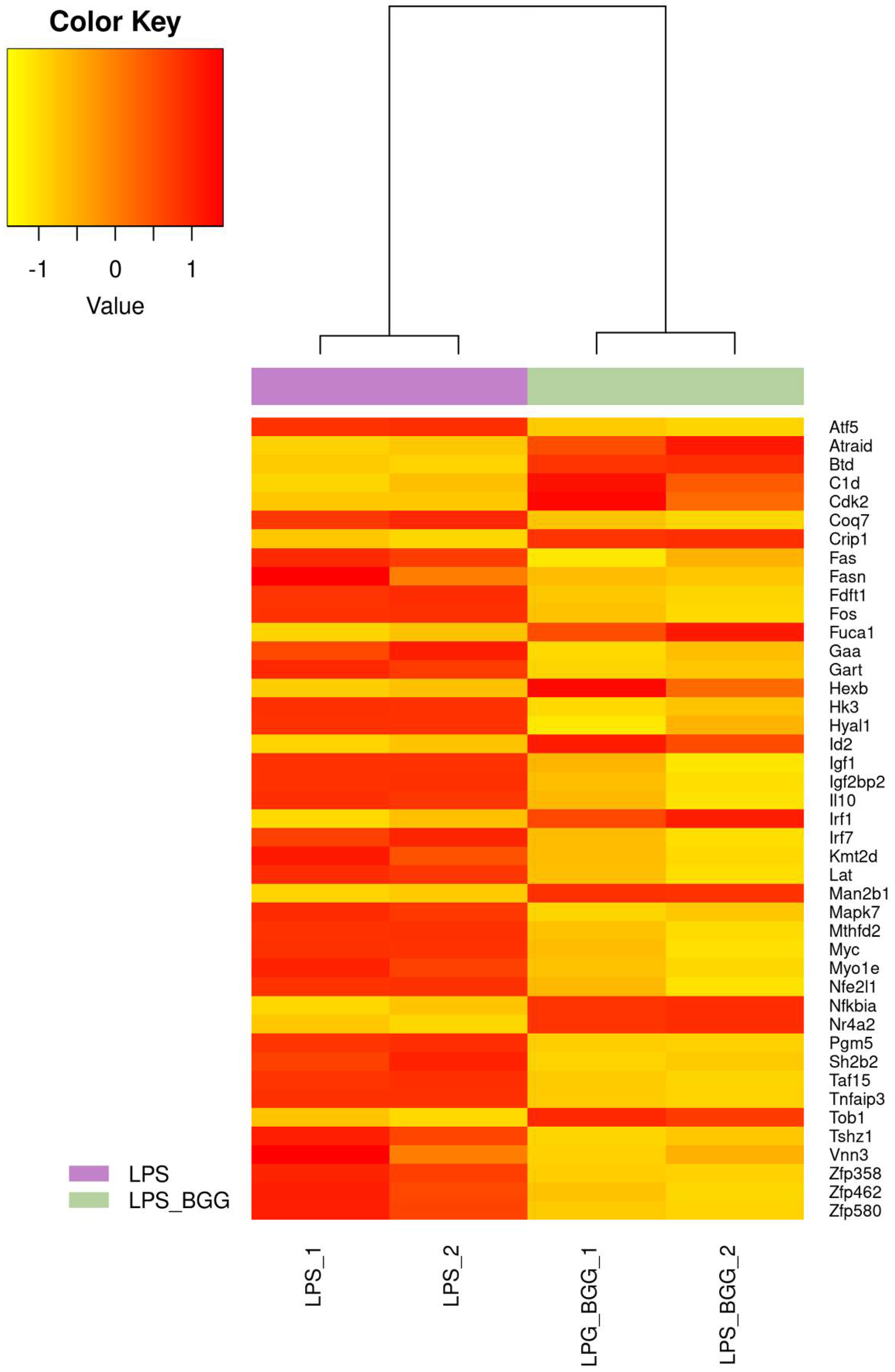 Ijms 23 11254 g006 550