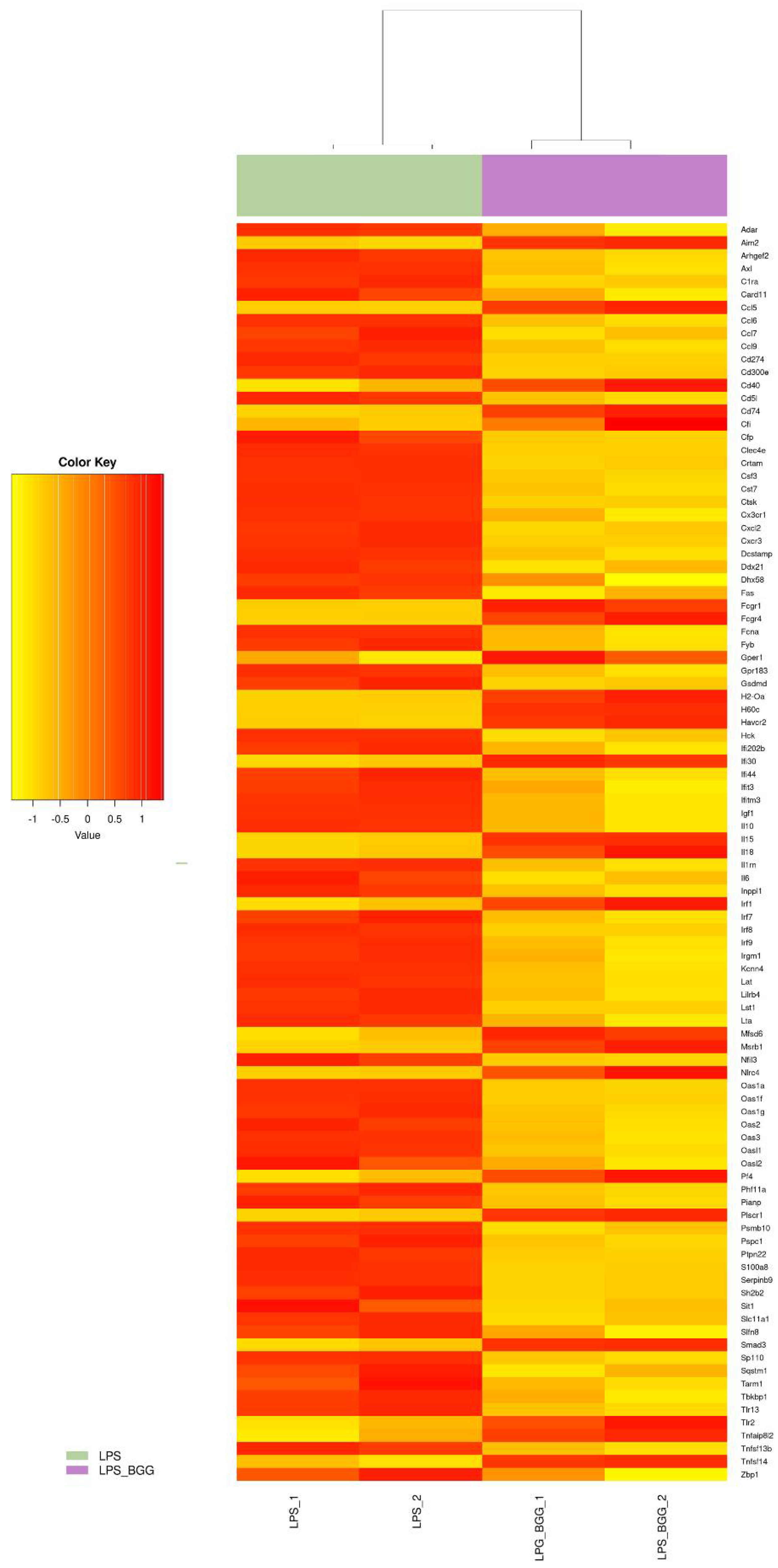 Ijms 23 11254 g007 550