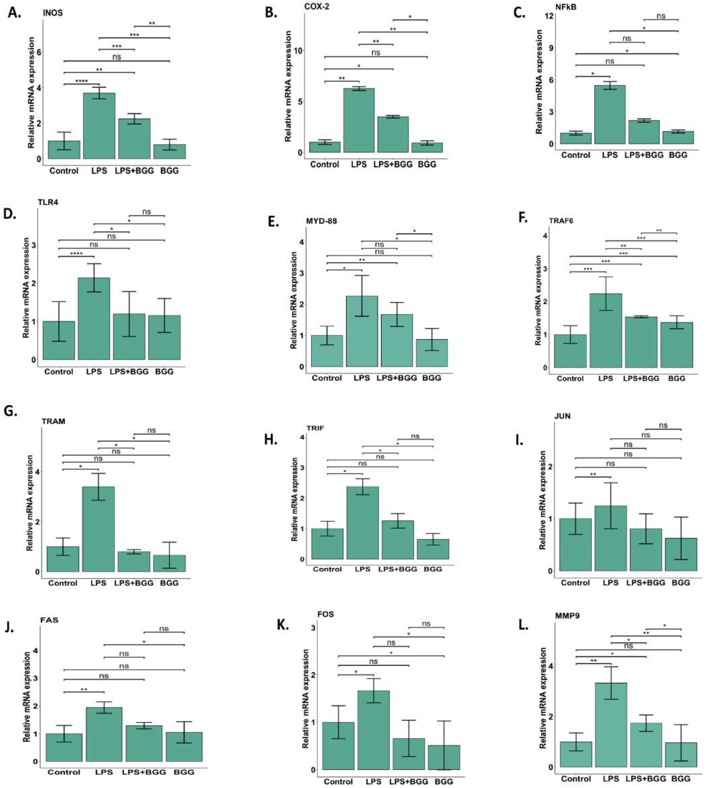 Ijms 23 11254 g008 550