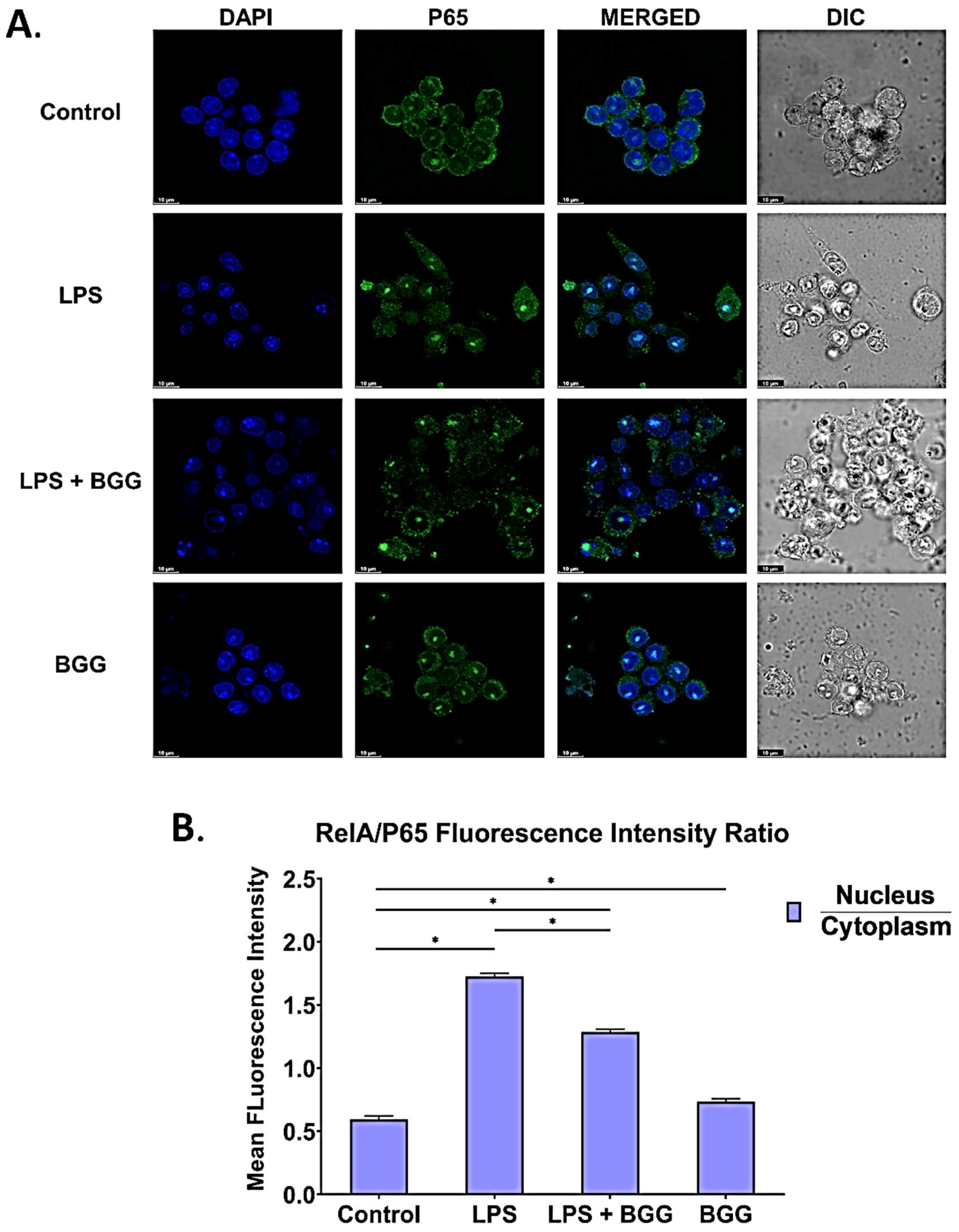 Ijms 23 11254 g010 550
