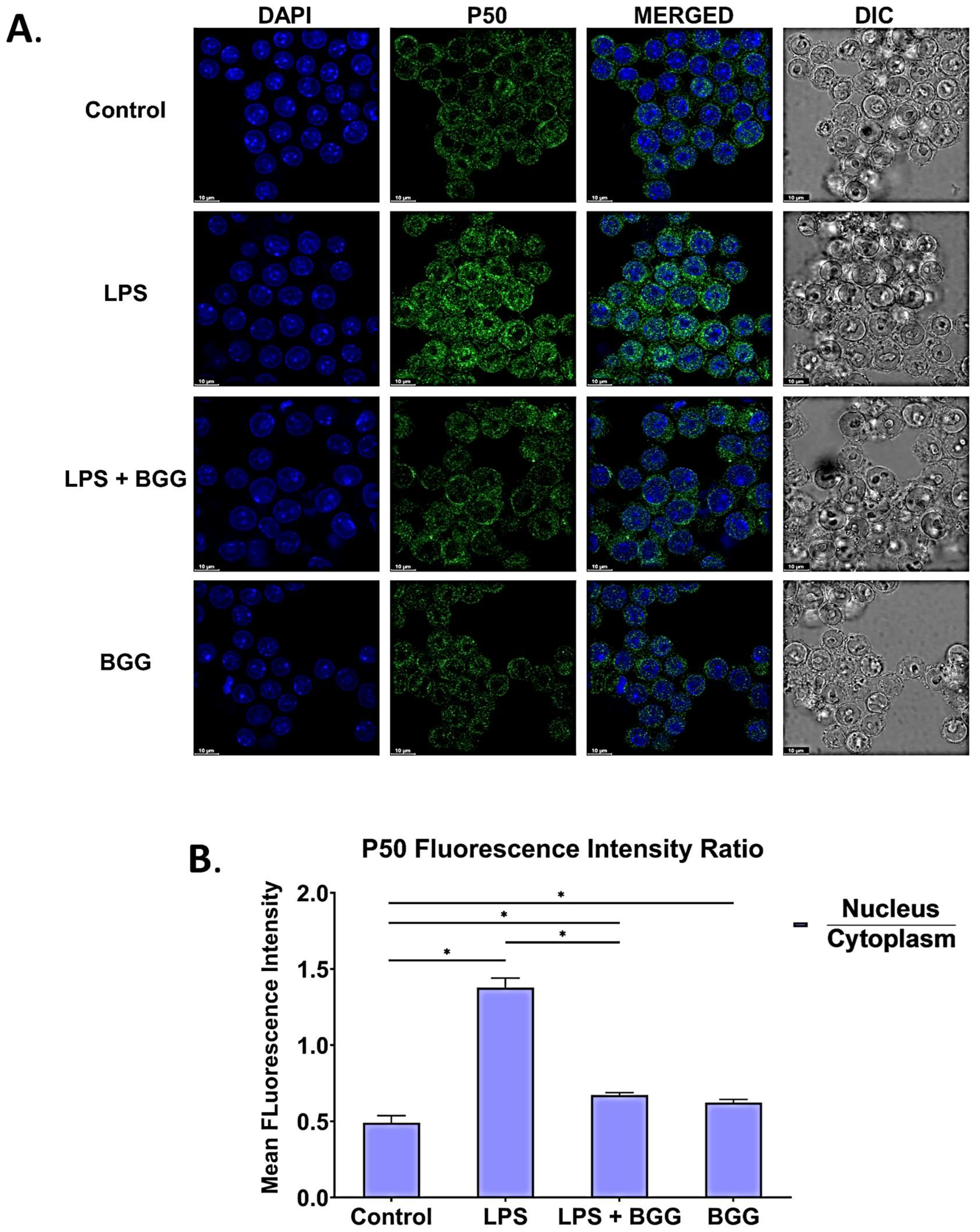 Ijms 23 11254 g011 550