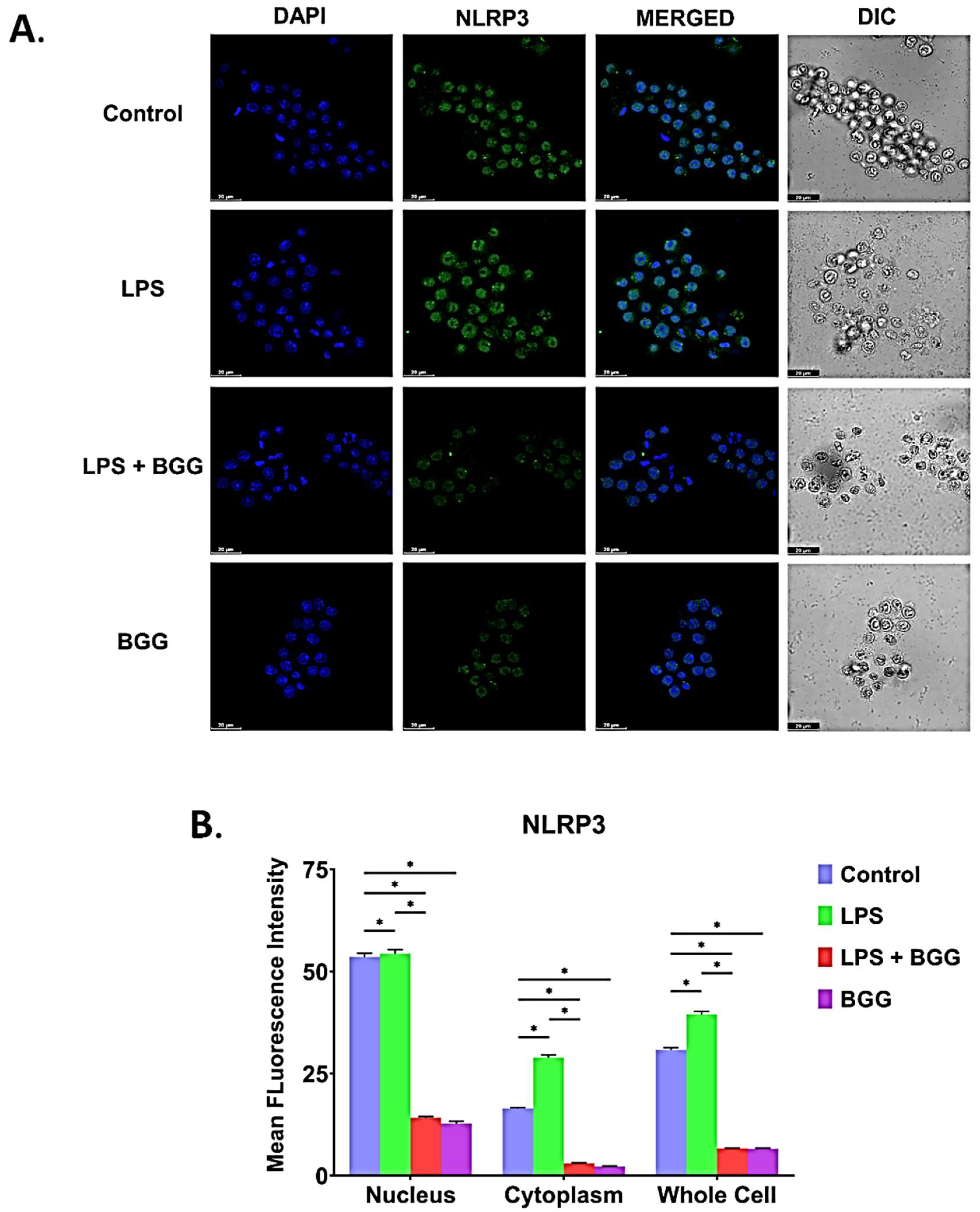 Ijms 23 11254 g012 550