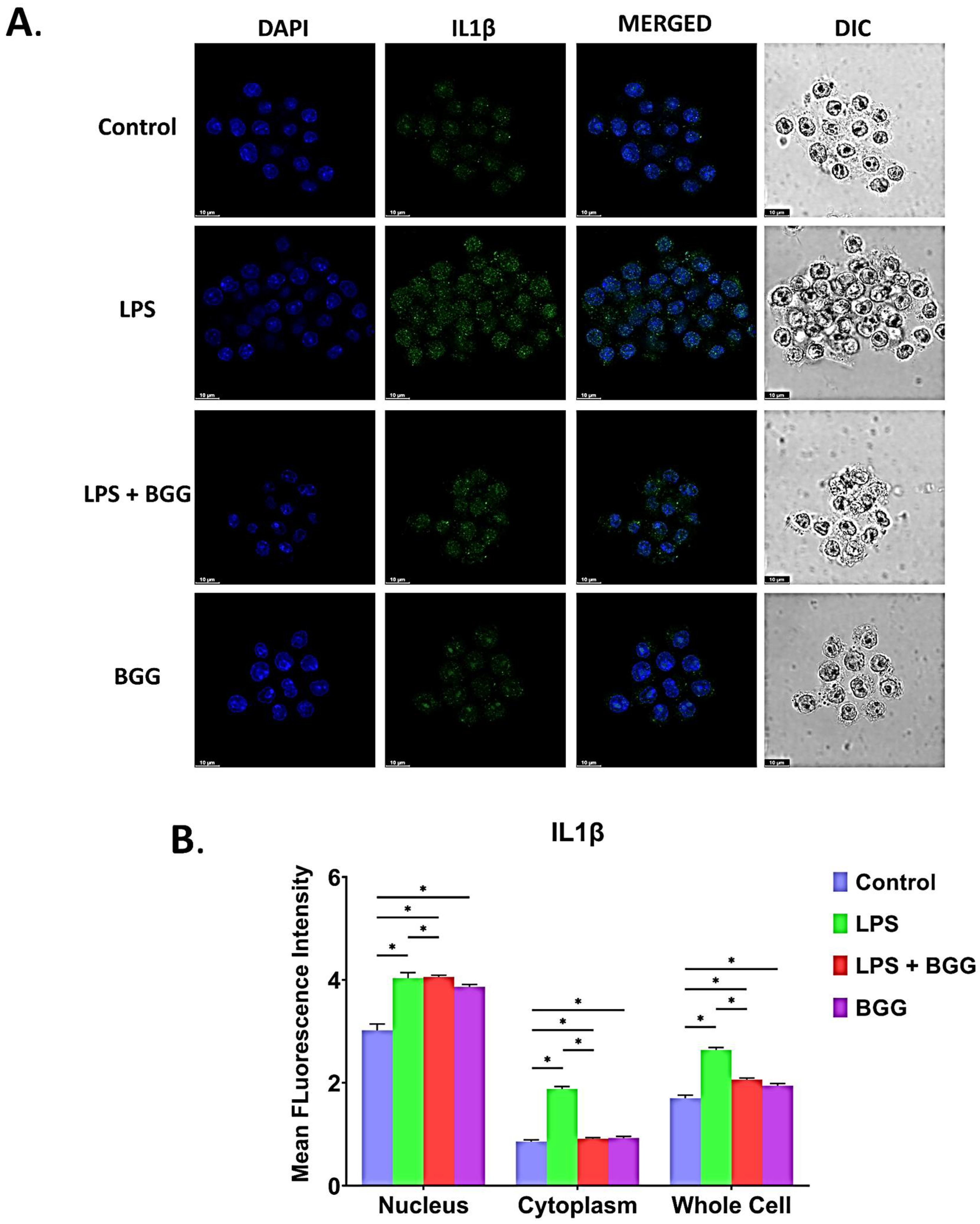 Ijms 23 11254 g013 550