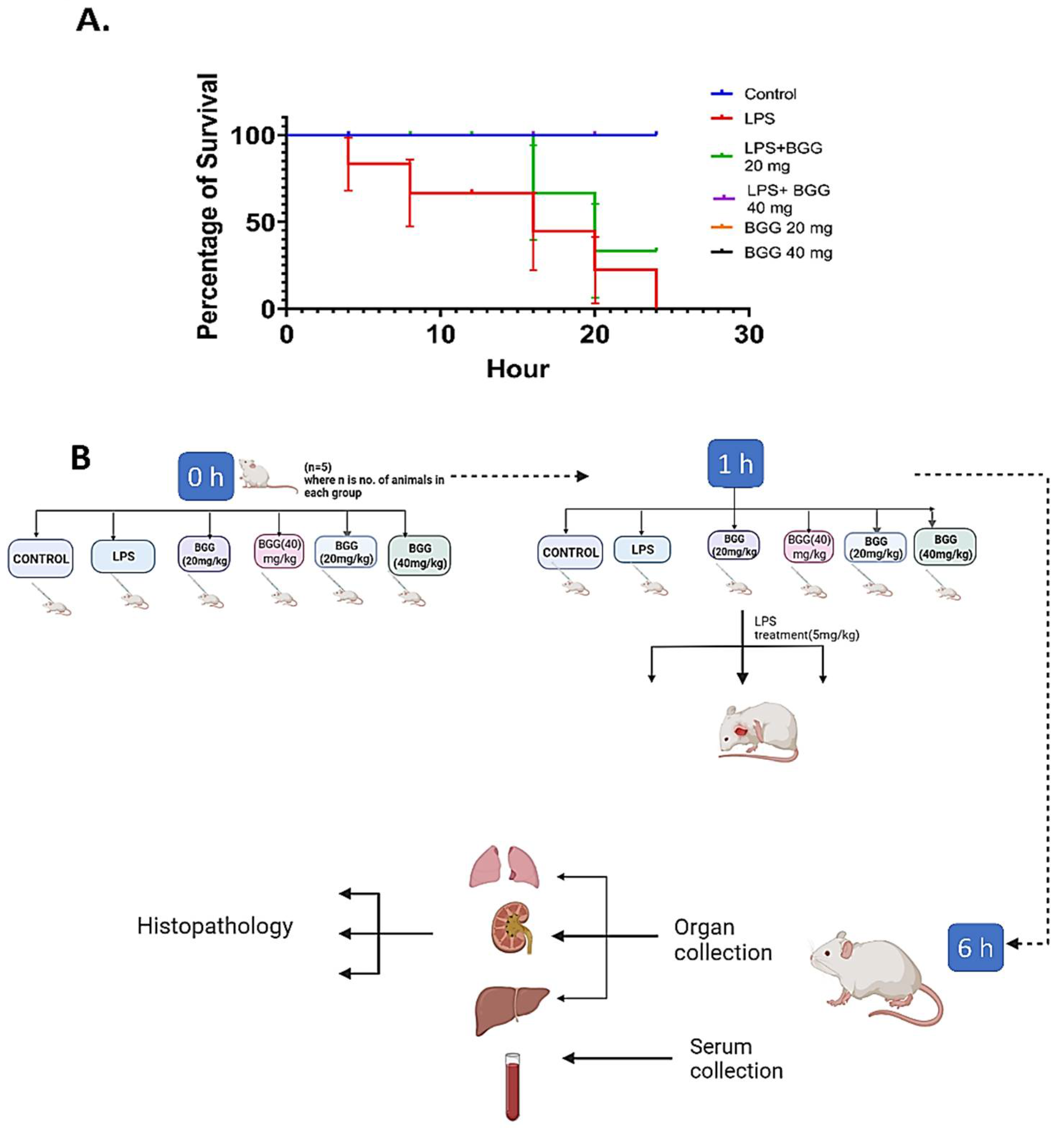 Ijms 23 11254 g014 550