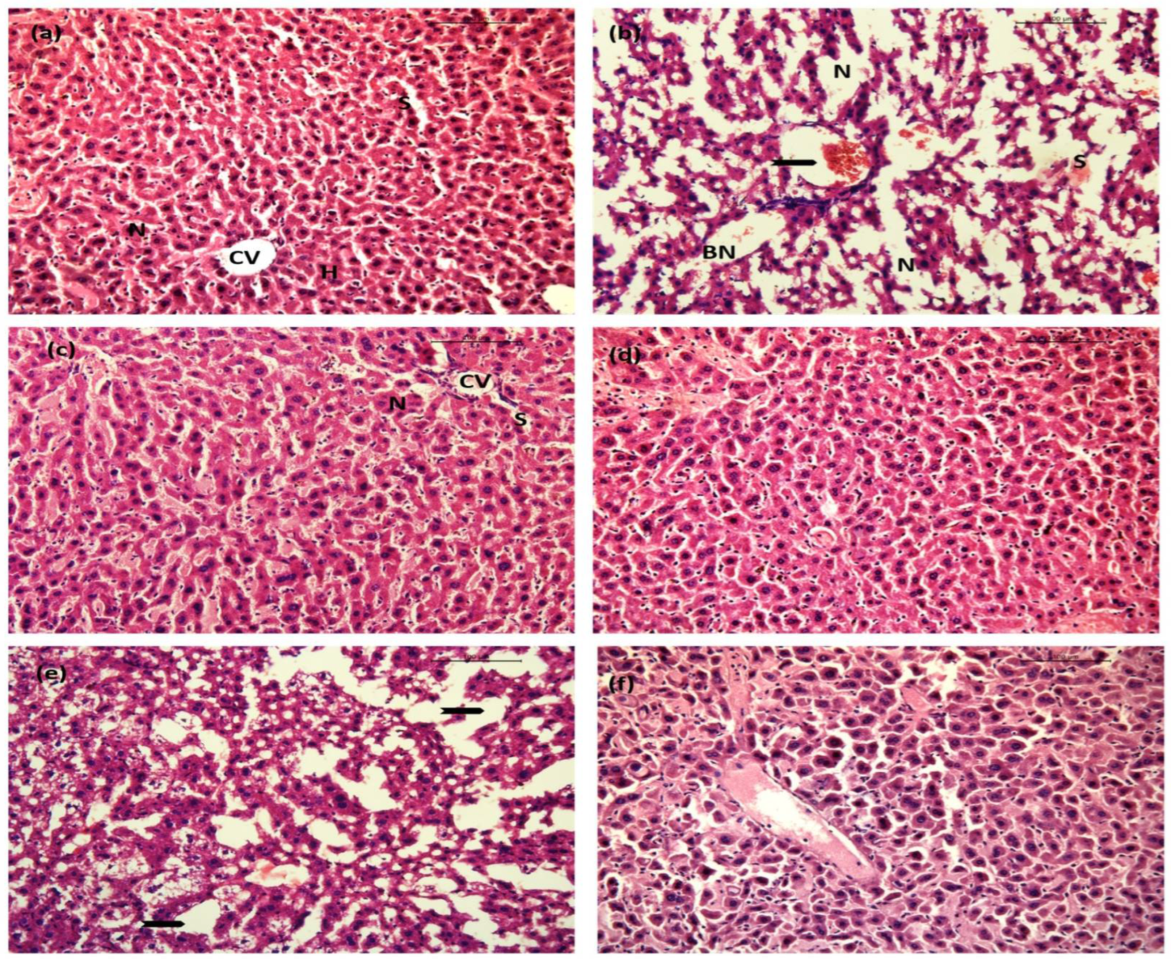 Ijms 23 11254 g015 550