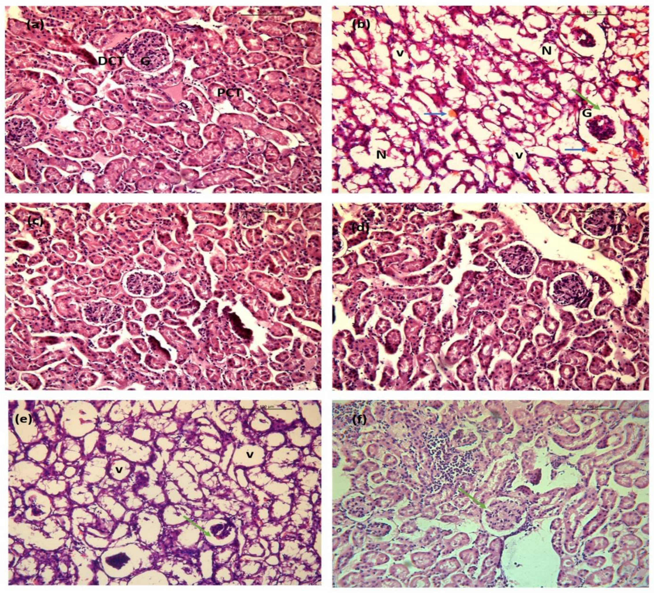 Ijms 23 11254 g016 550