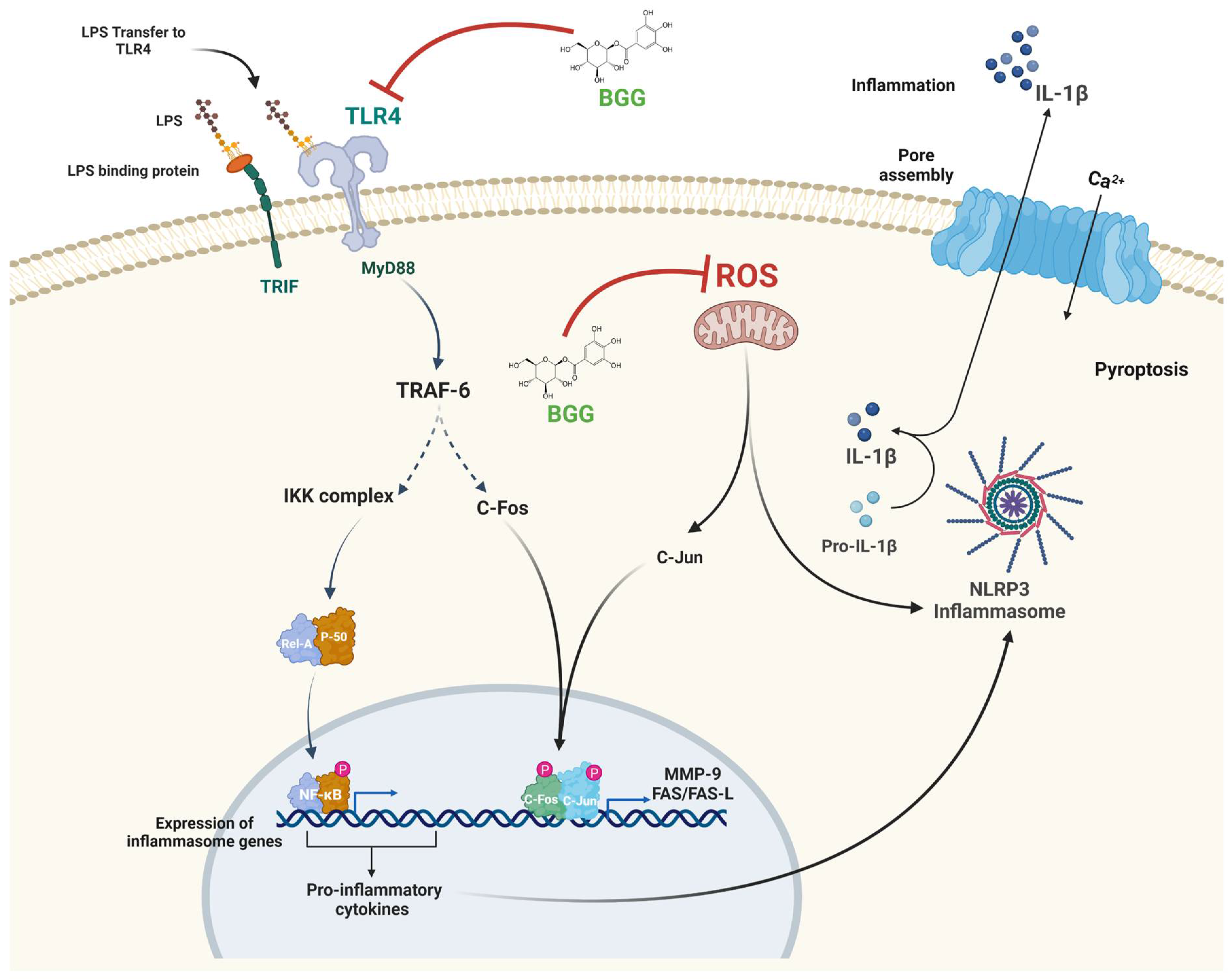 Ijms 23 11254 g019 550