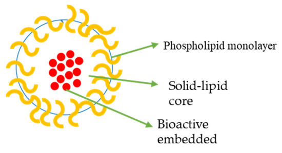 Nanoparticles Loaded with Platinum Drugs for Colorectal