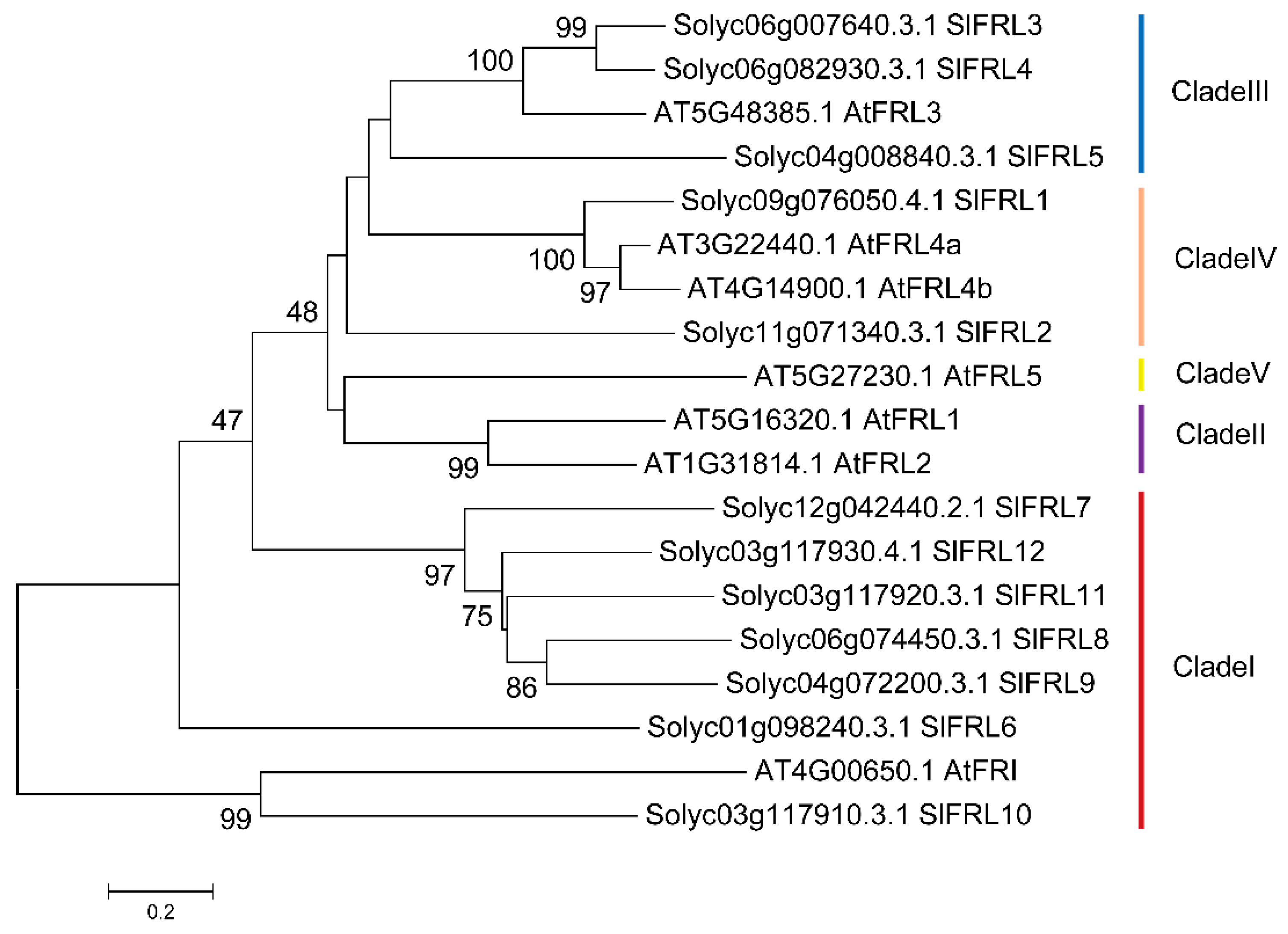 Ijms 23 11264 g001 Ijms 23 11264 g001
