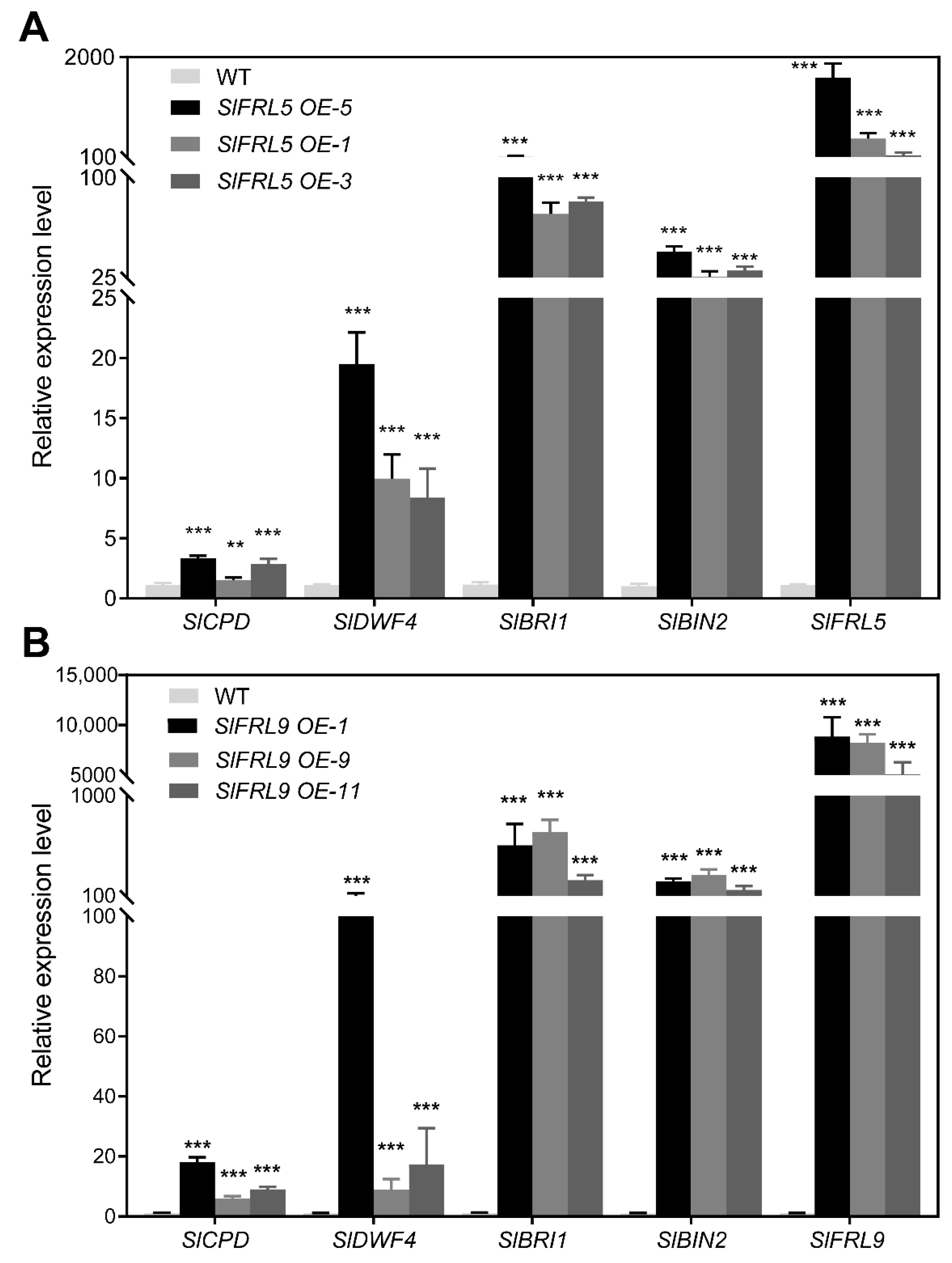 Ijms 23 11264 g006 Ijms 23 11264 g006
