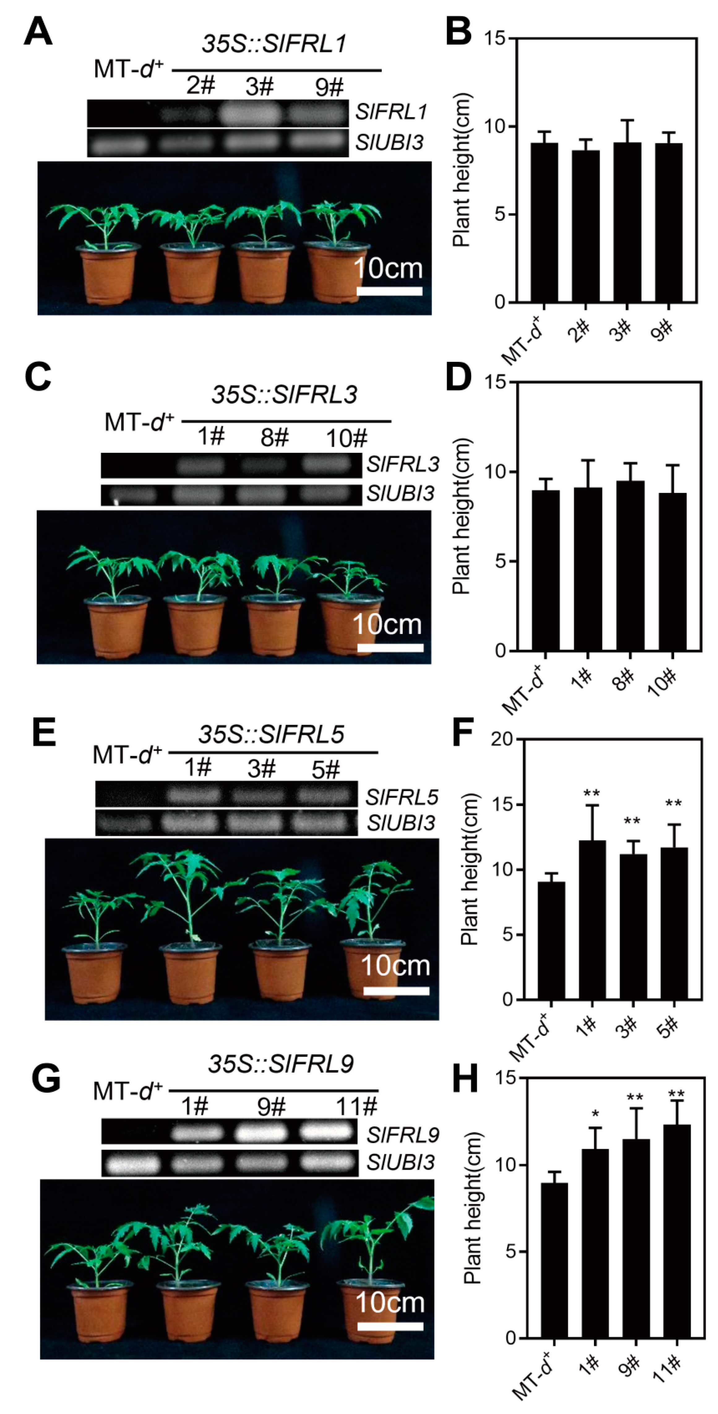 Ijms 23 11264 g007 Ijms 23 11264 g007