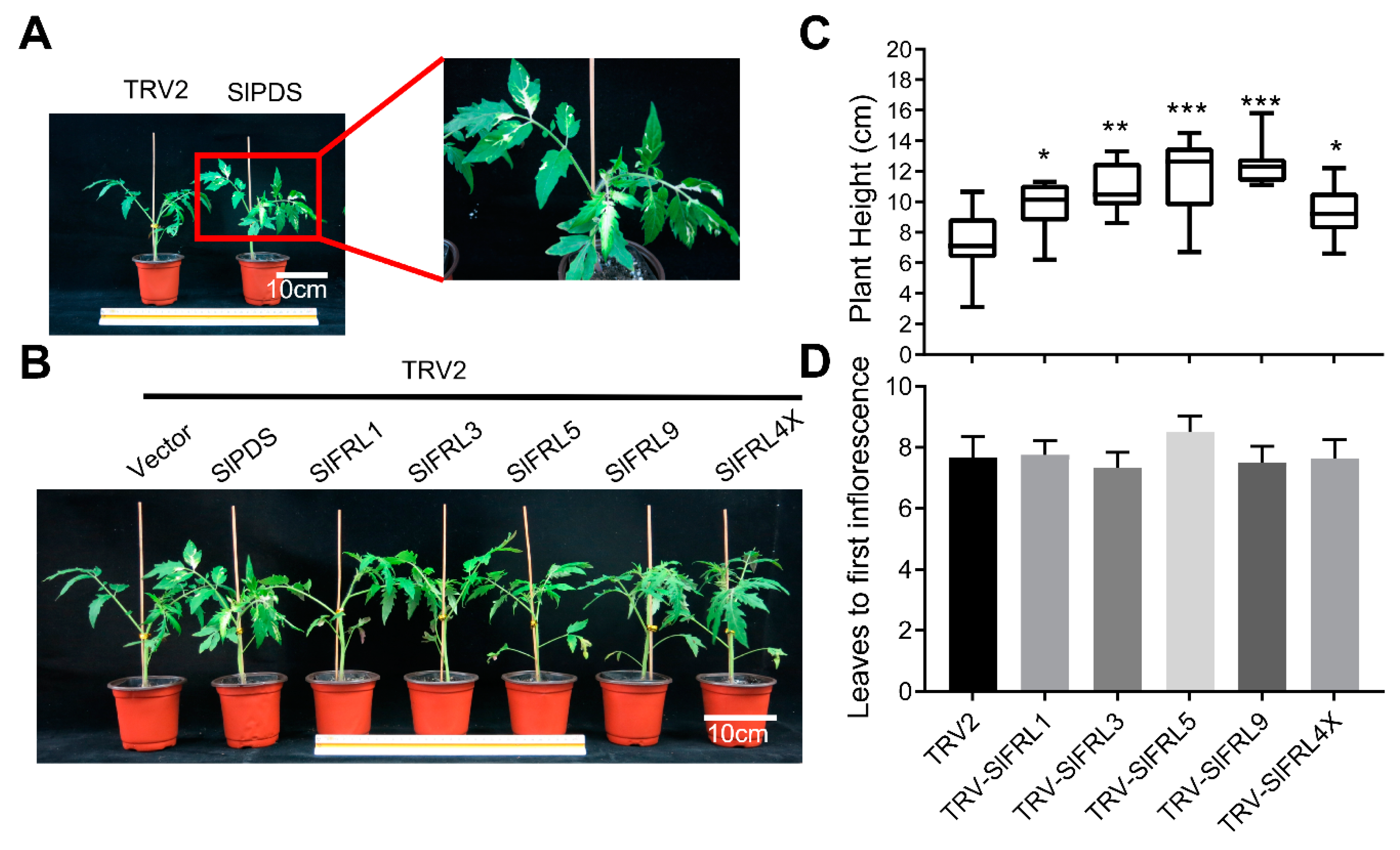 Ijms 23 11264 g009 Ijms 23 11264 g009