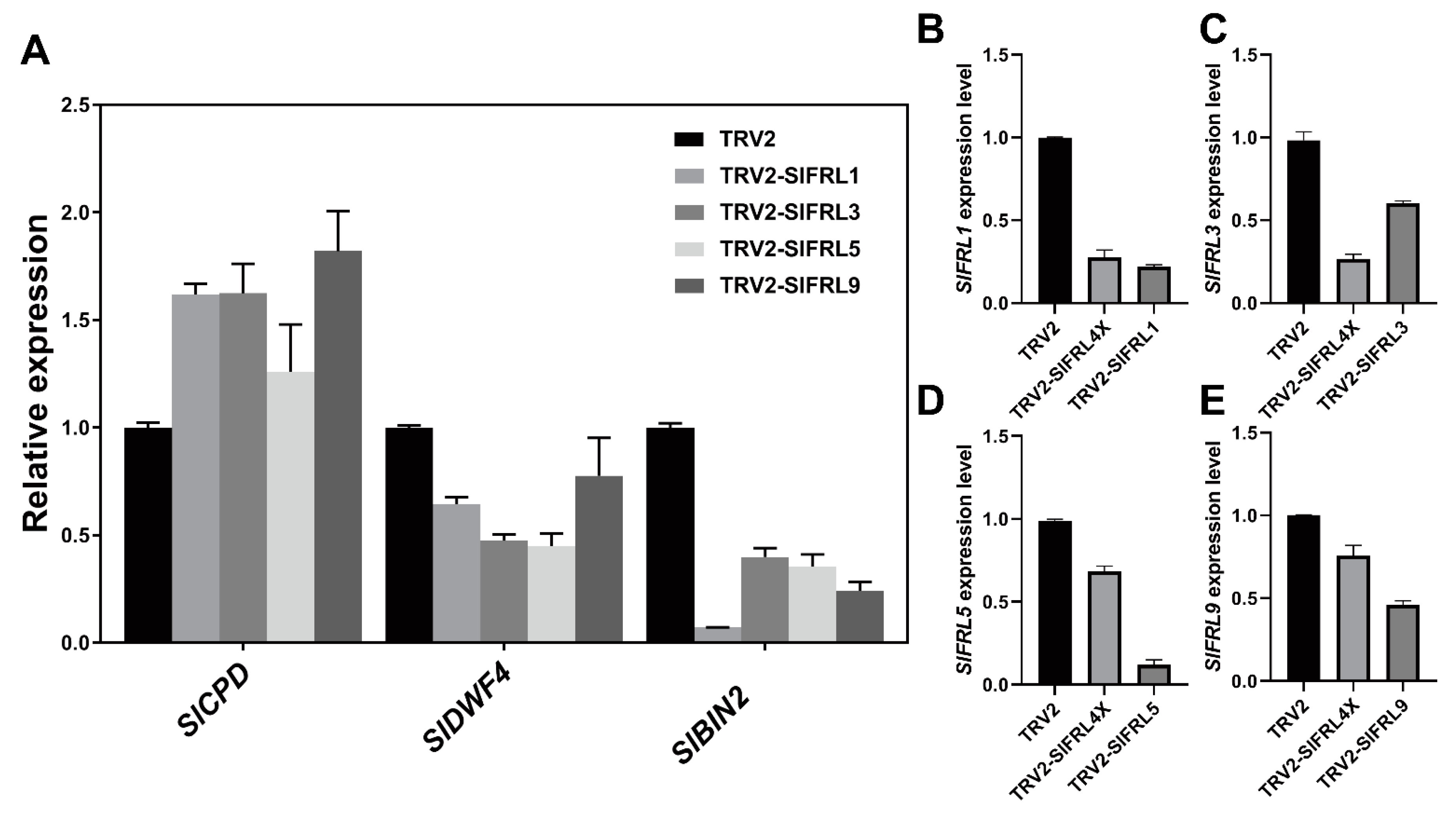 Ijms 23 11264 g010 Ijms 23 11264 g010