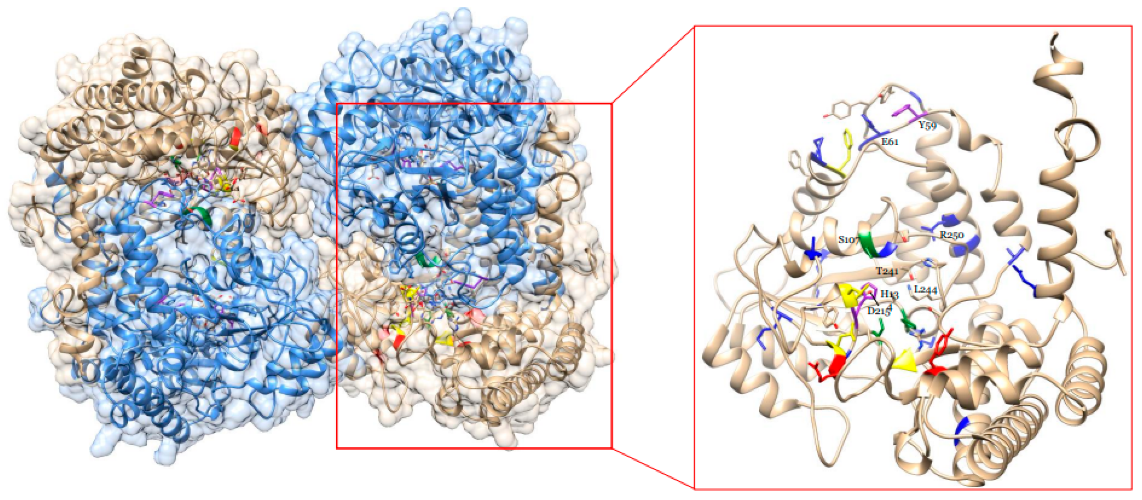 Ijms 23 11278 g004 Ijms 23 11278 g004