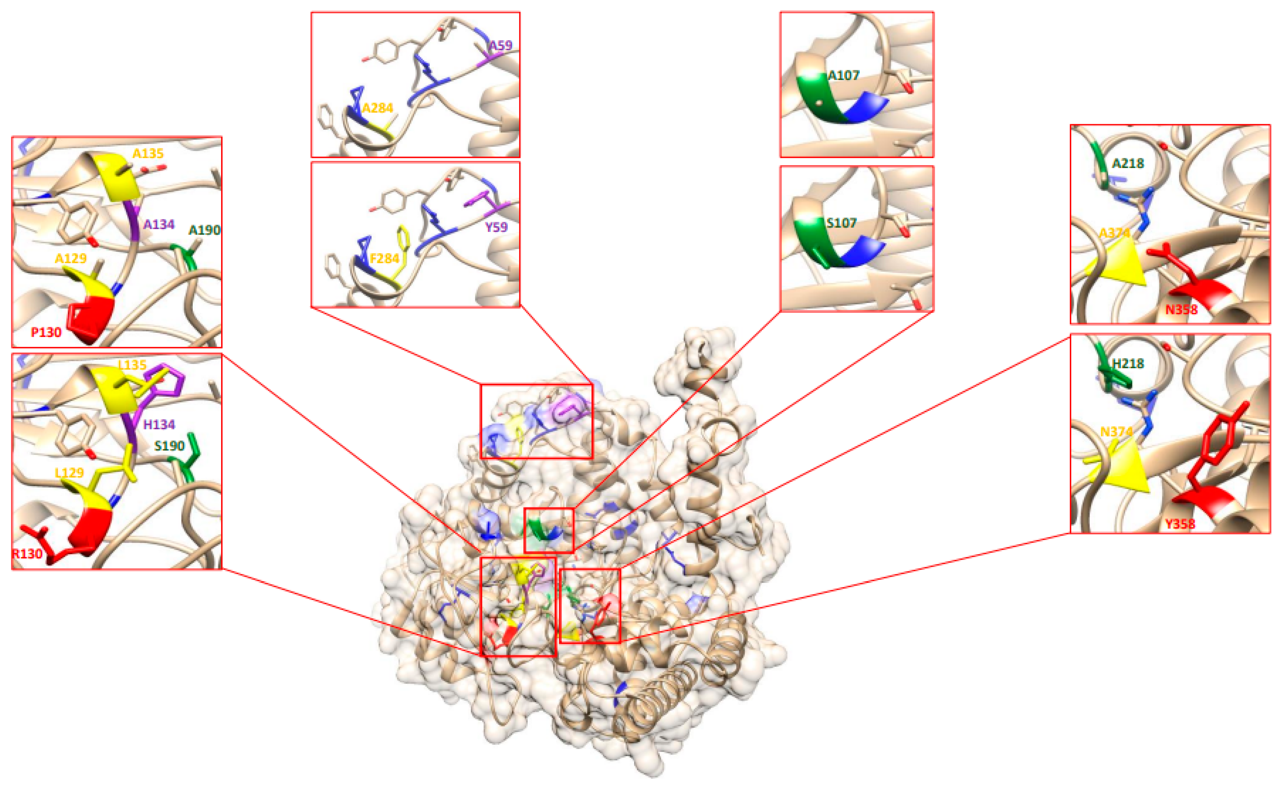 Ijms 23 11278 g005 Ijms 23 11278 g005