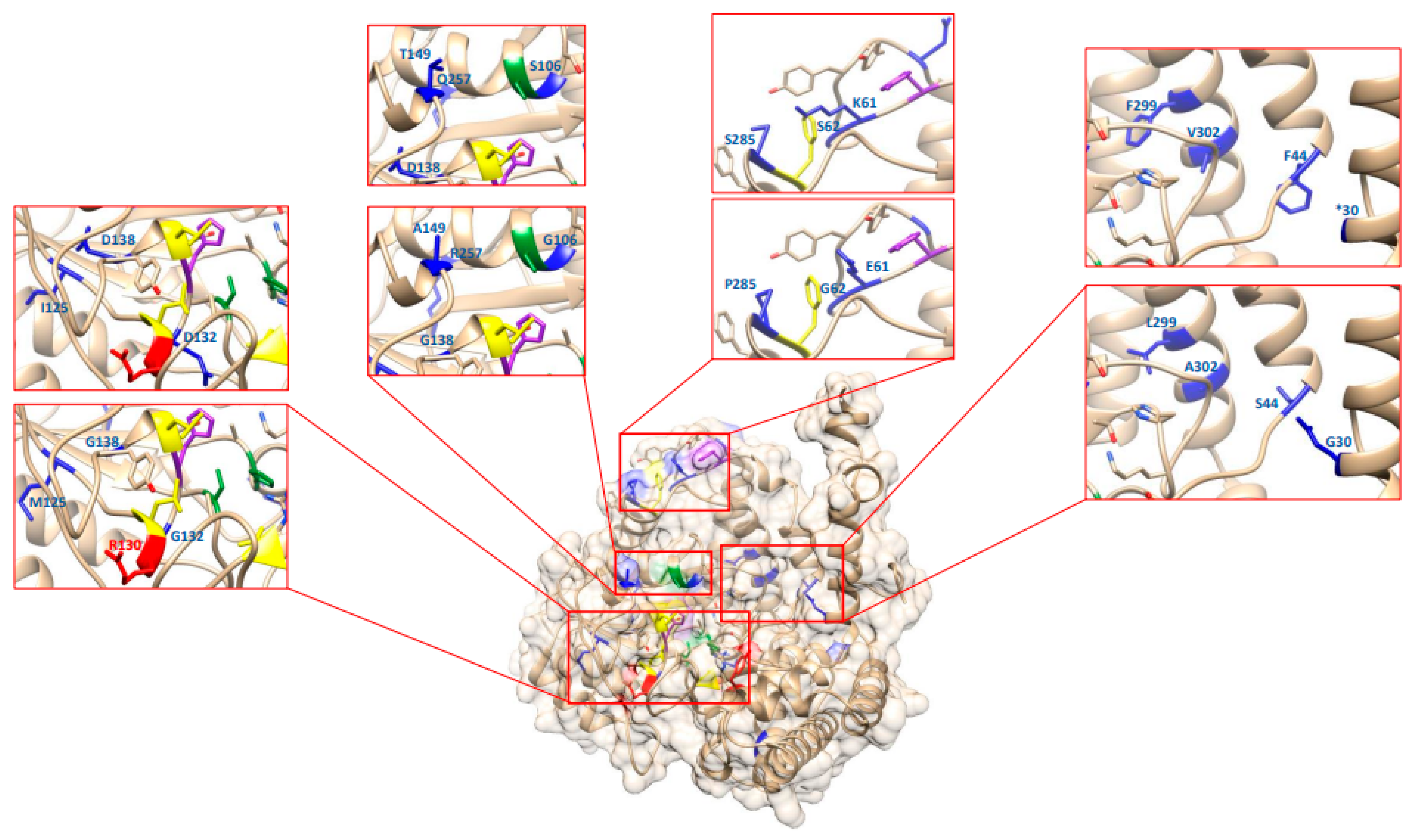 Ijms 23 11278 g006 Ijms 23 11278 g006