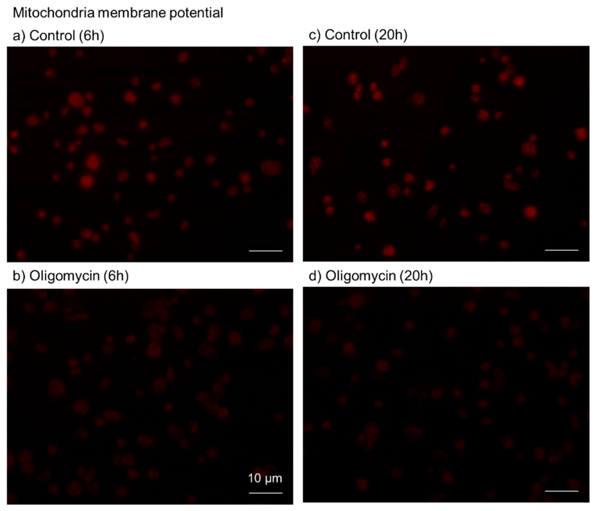 Ijms 23 11293 g002 550