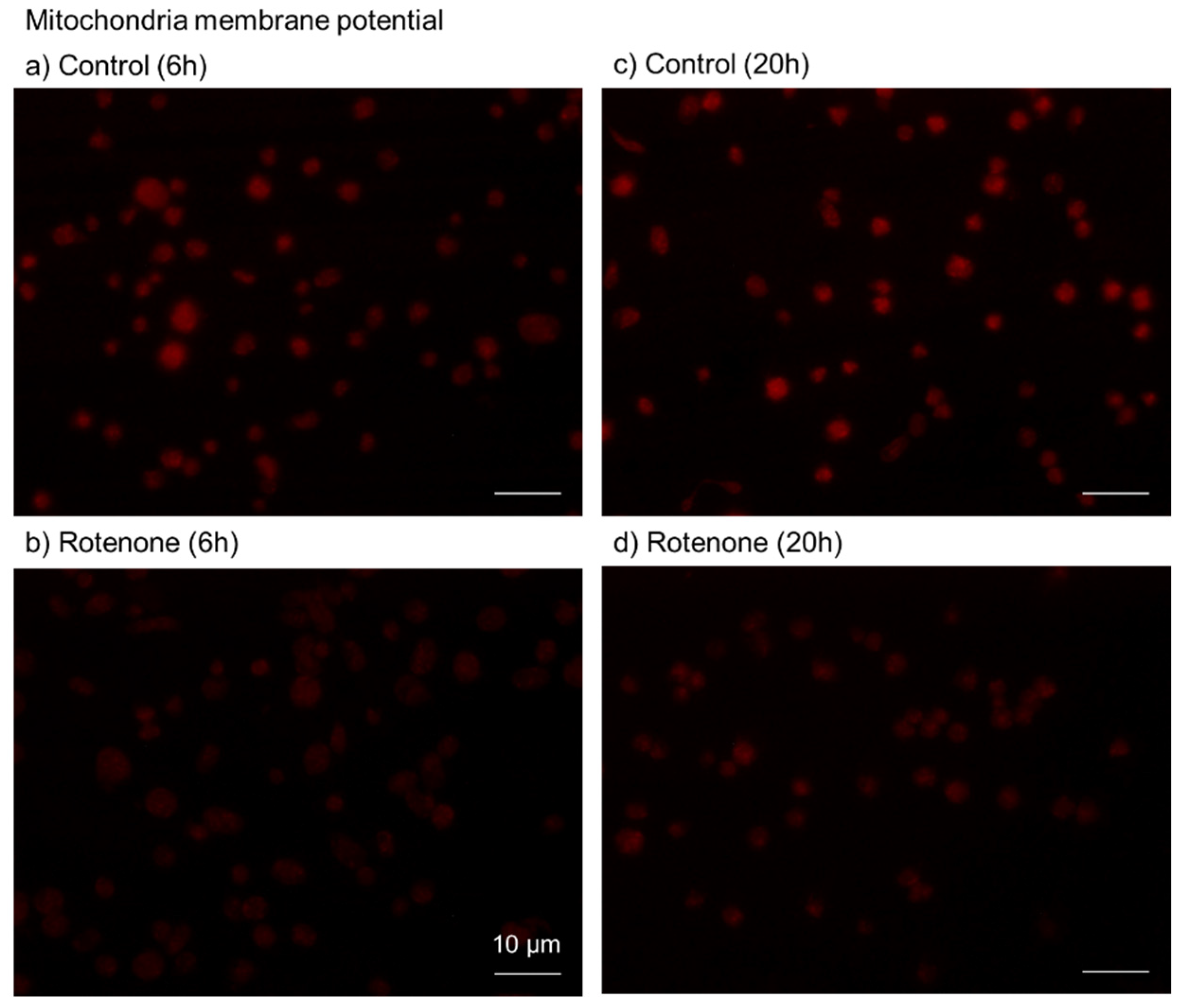 Ijms 23 11293 g004 550