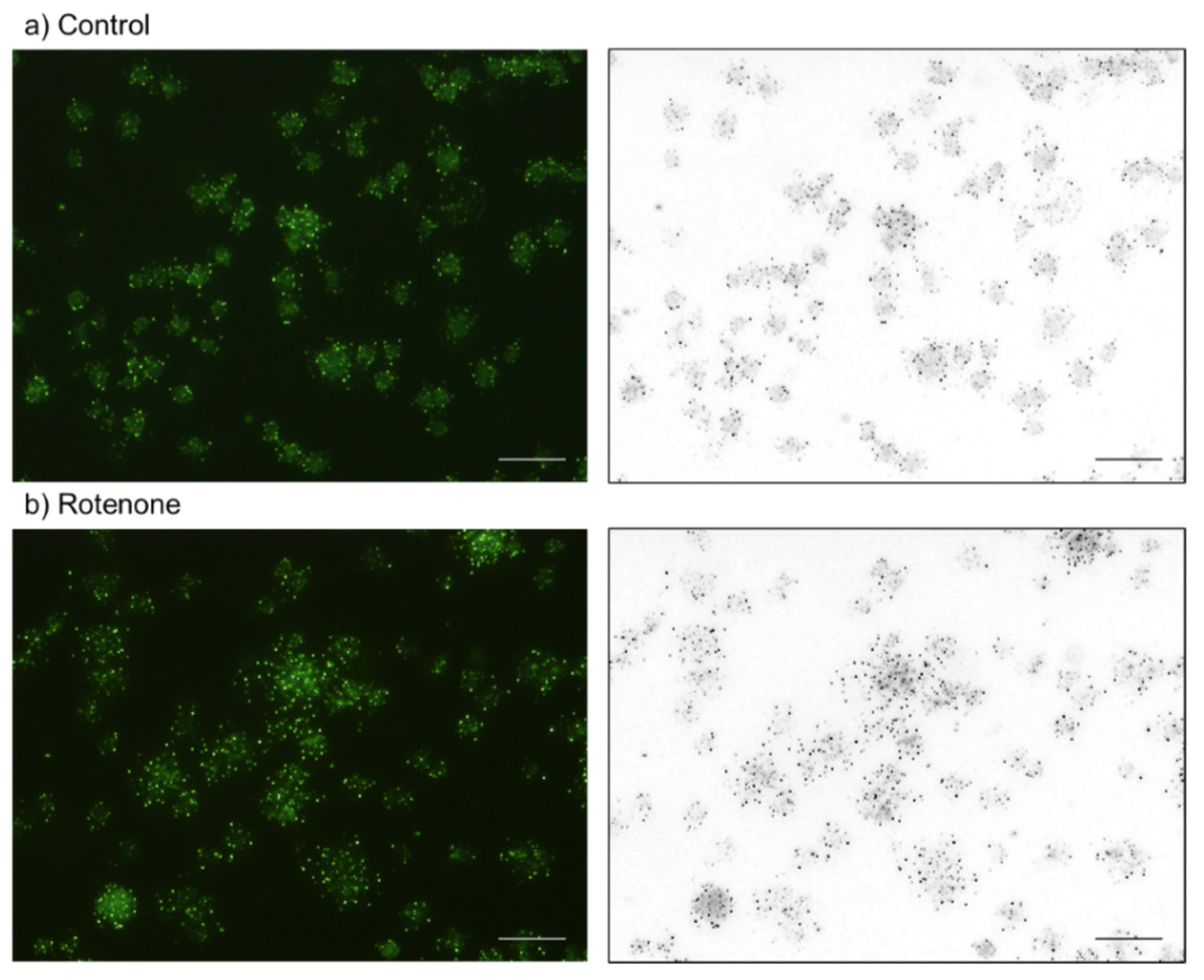 Ijms 23 11293 g010 550